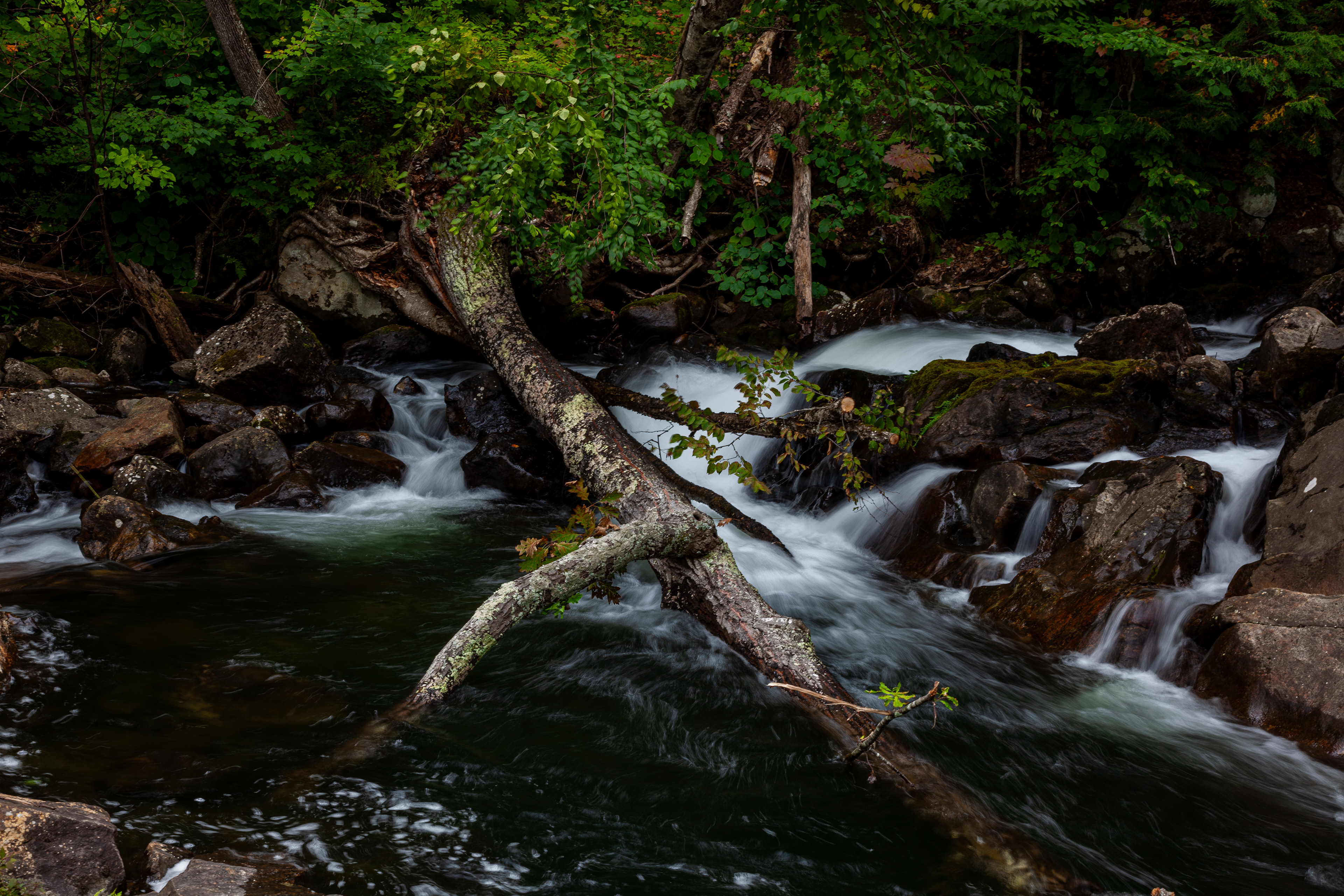 Bristol Falls Park No14