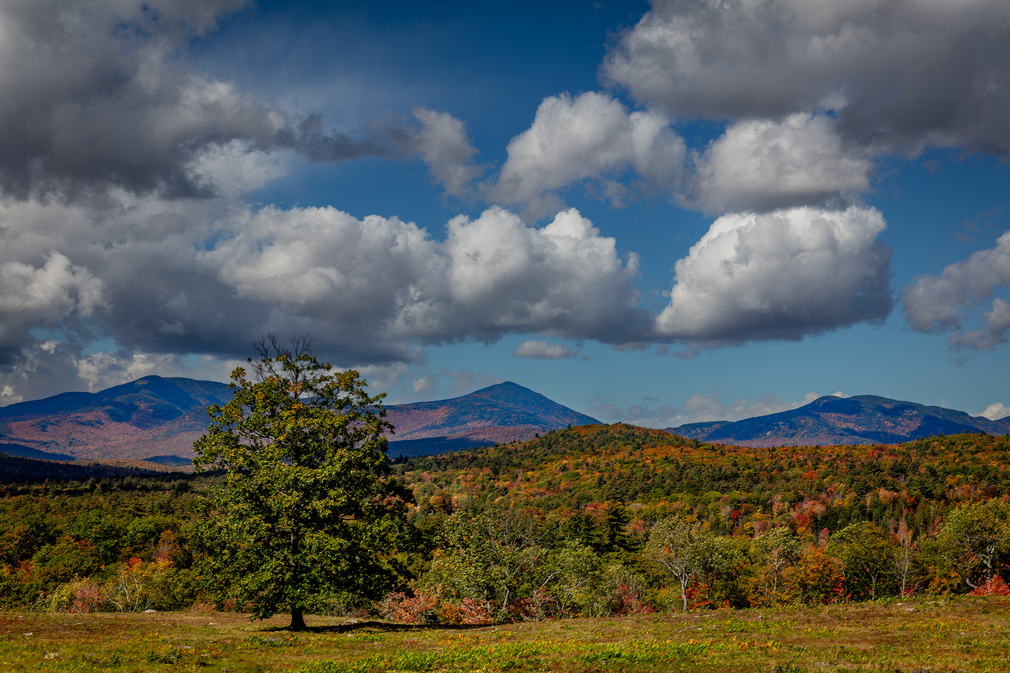 Page Hill View - October 5, 2026