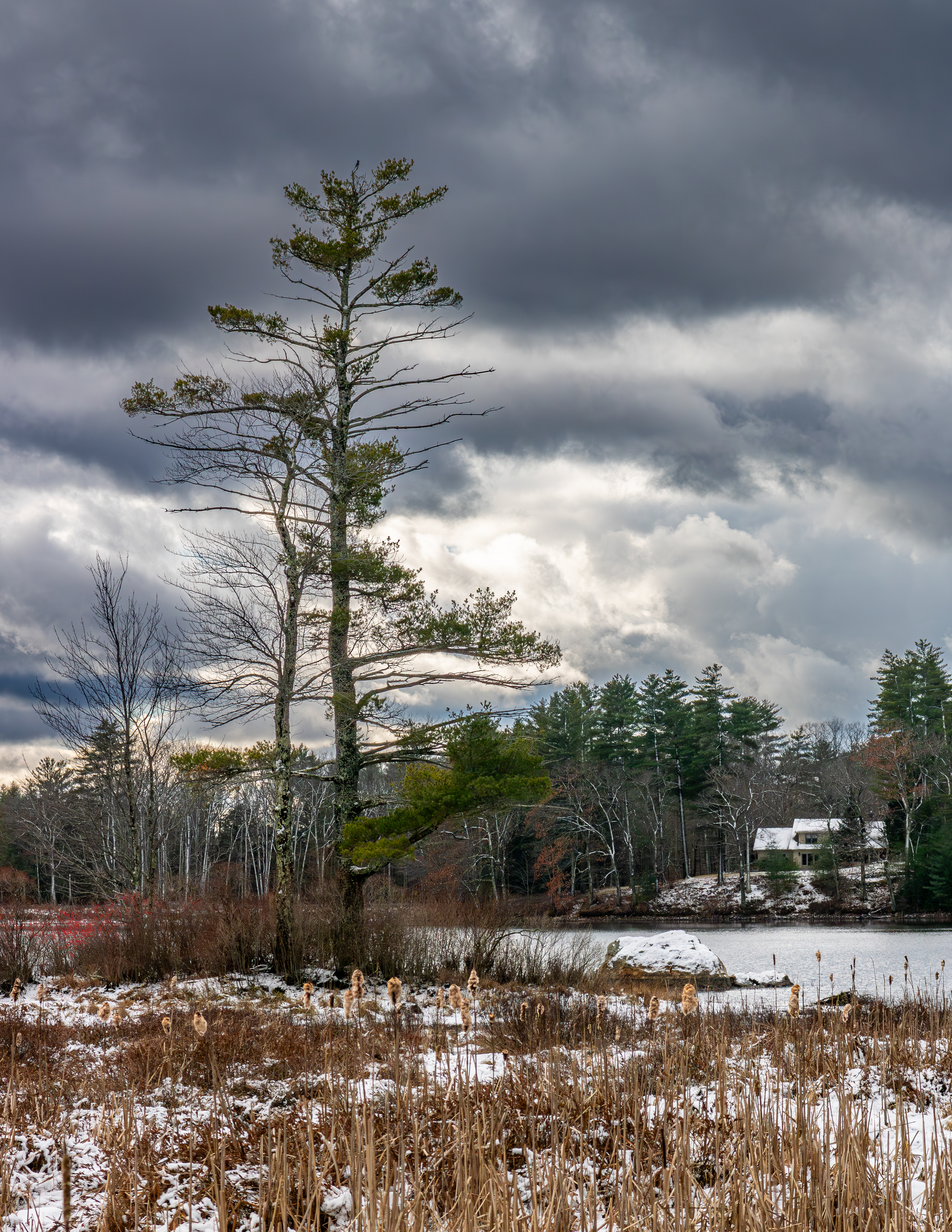 Rollins Pond No9