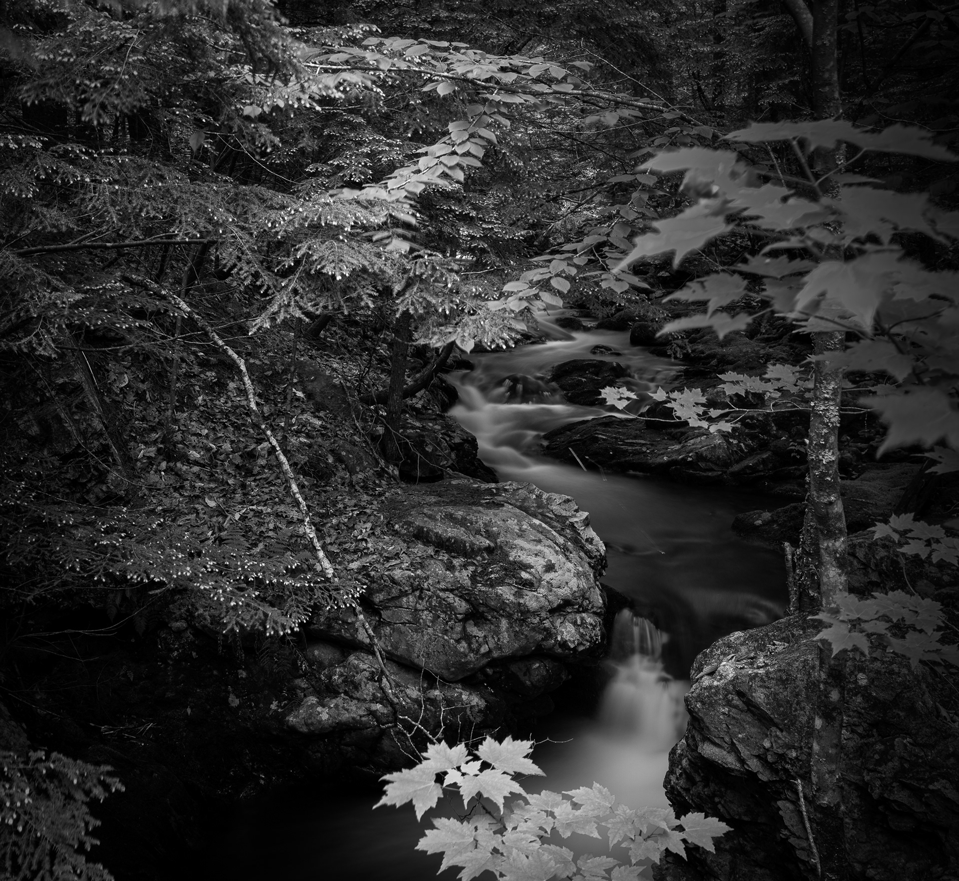 Brook Trail Long Exposure B&W