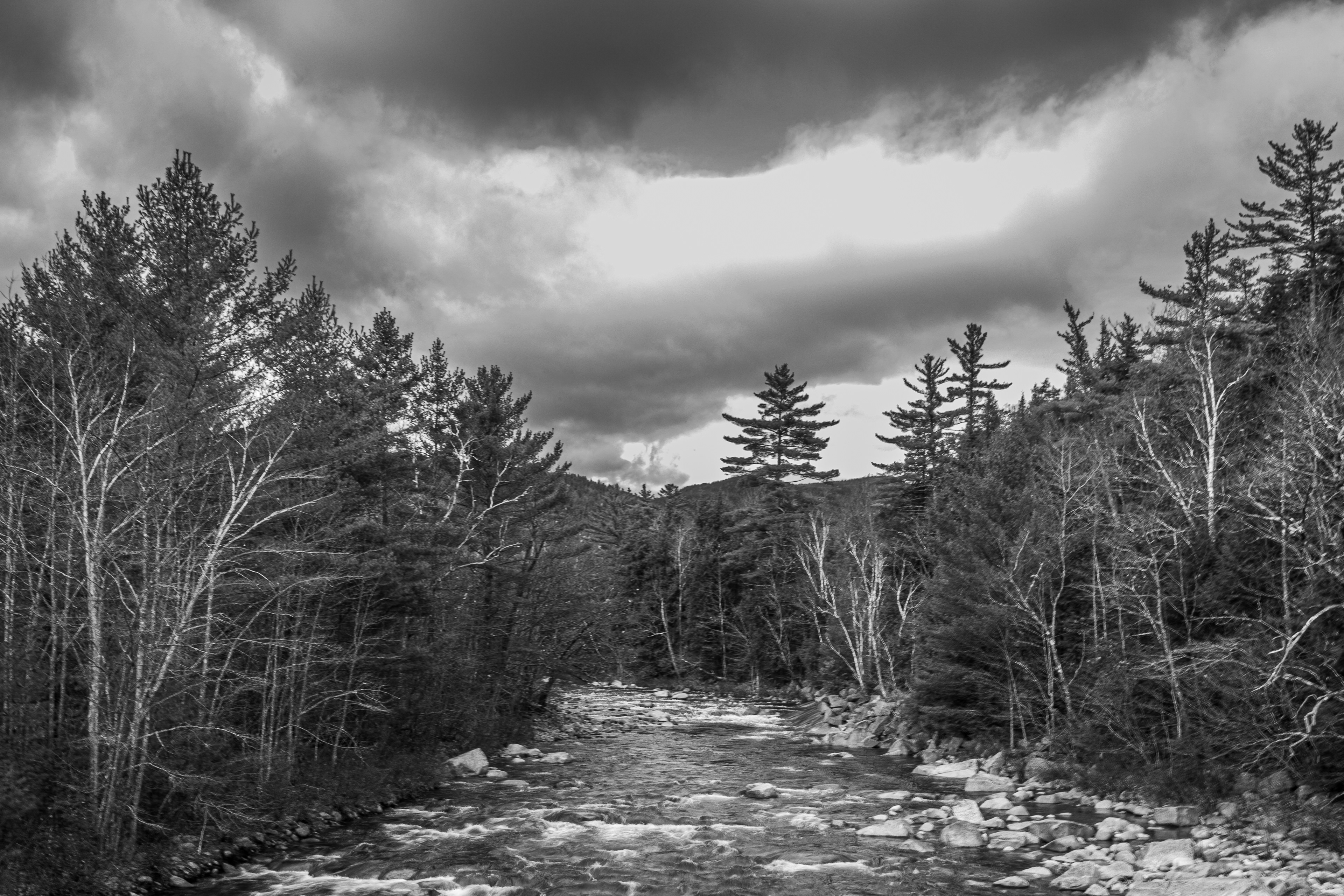 Albany Covered Bridge No4