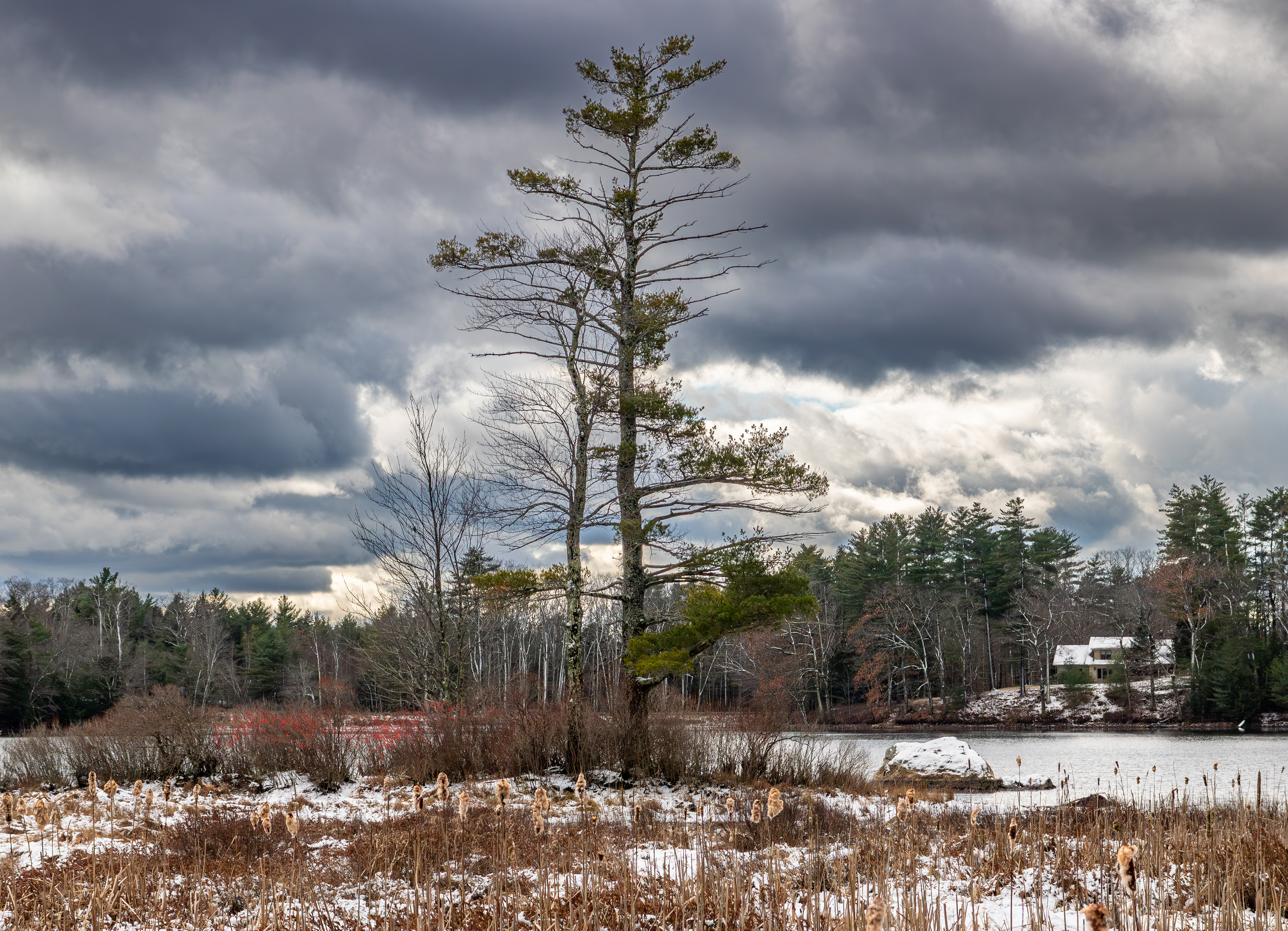 Rollins Pond No7