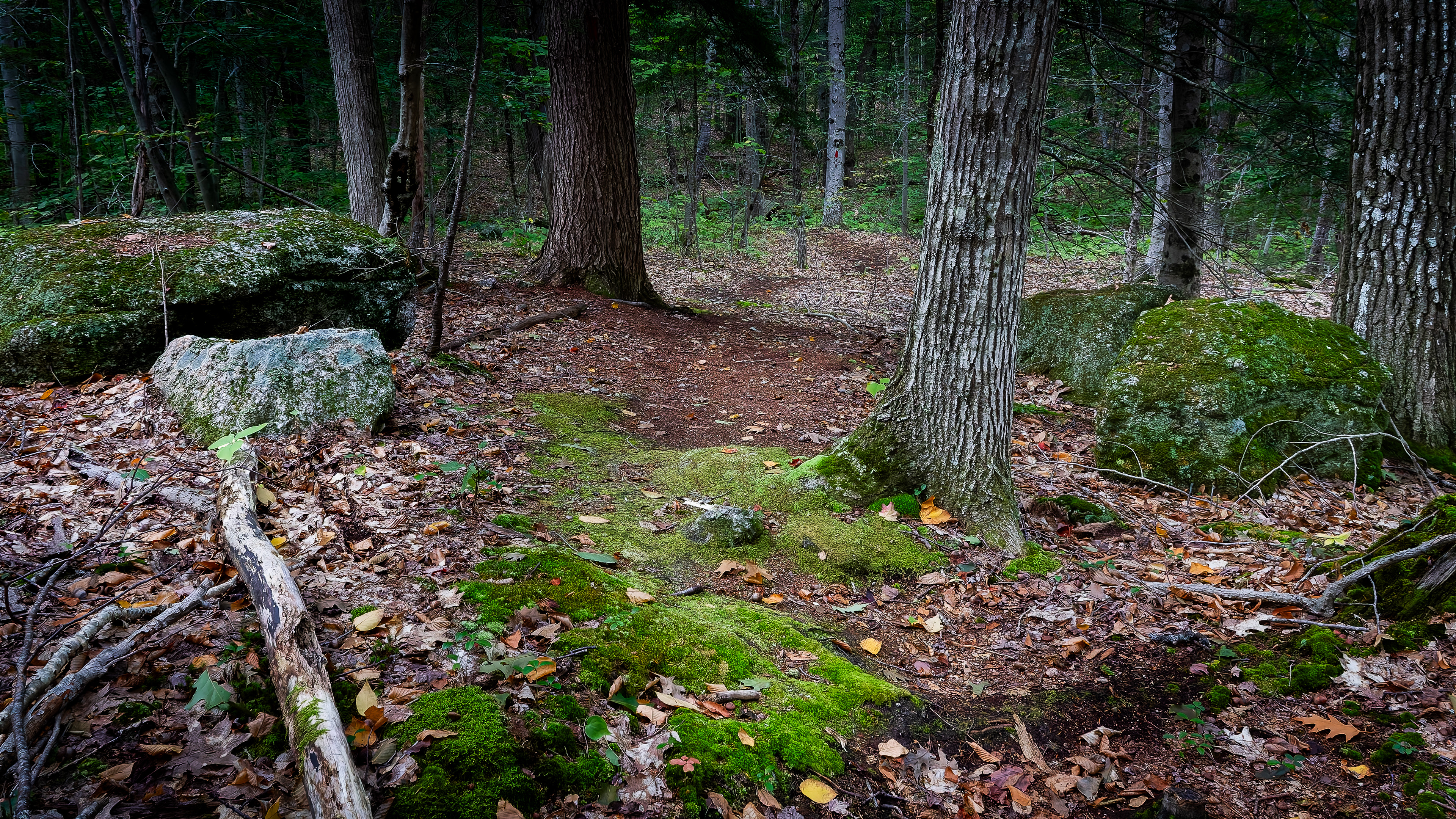 Joe Urner Hiking Trail No1