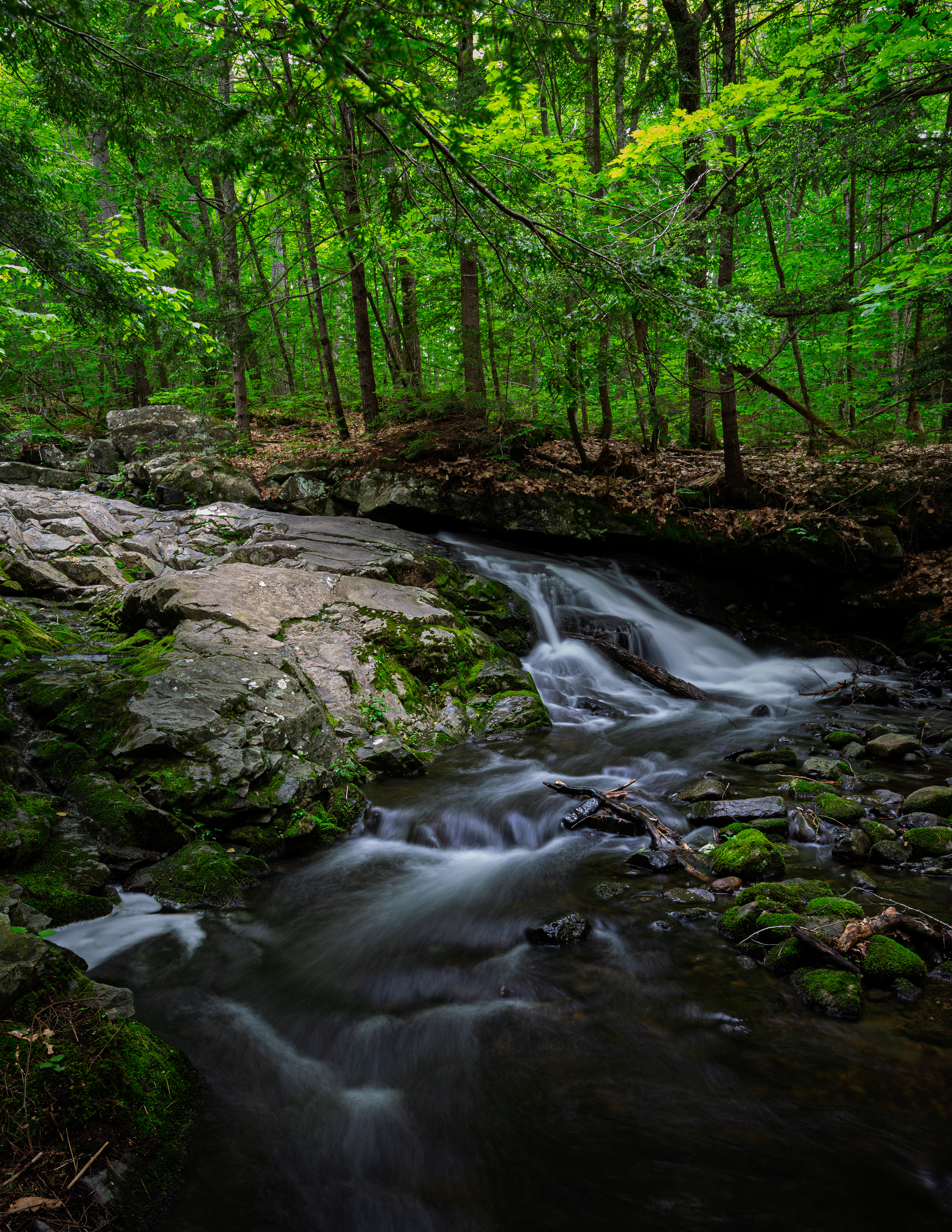 Brook Trail Unnamed Falls No8