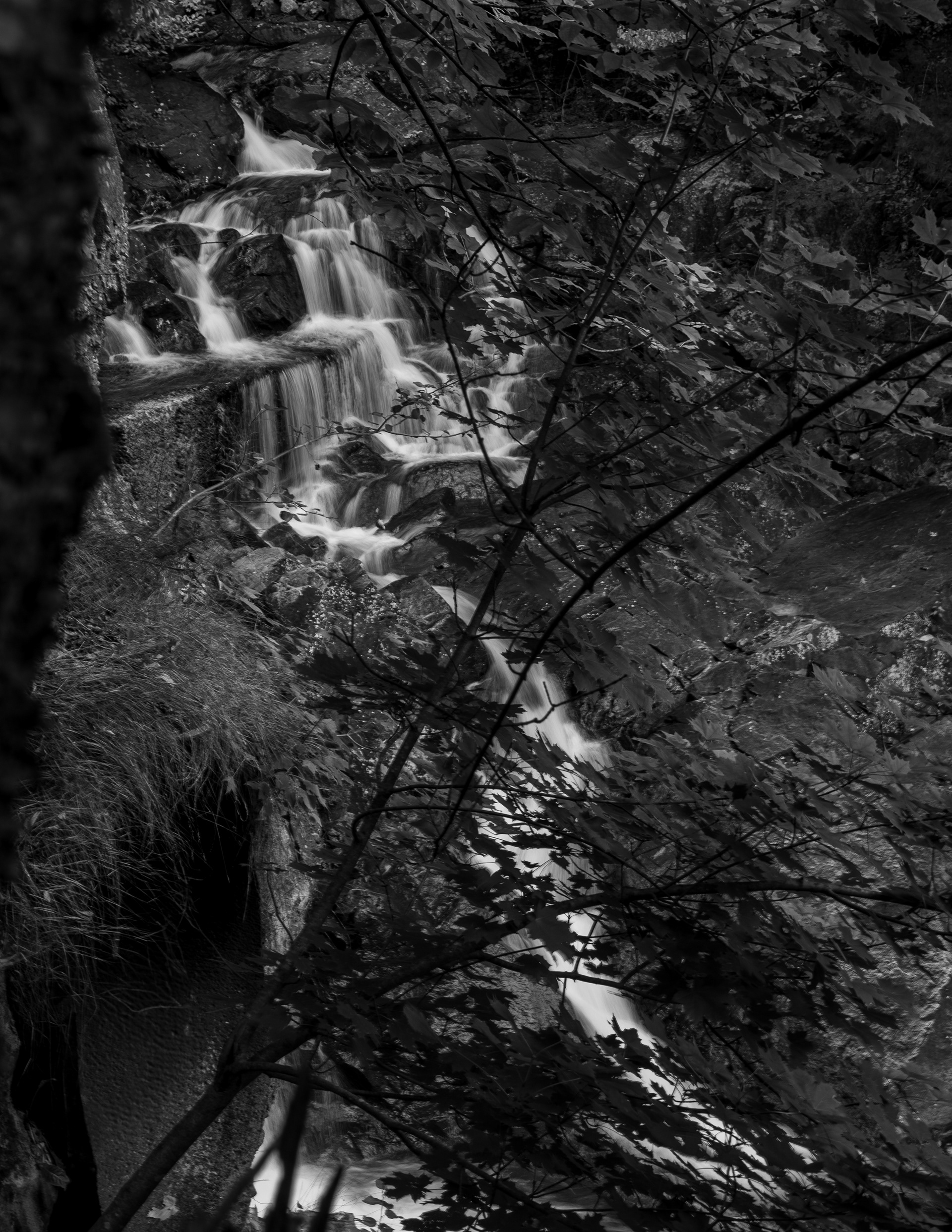 Bristol Falls Park No7