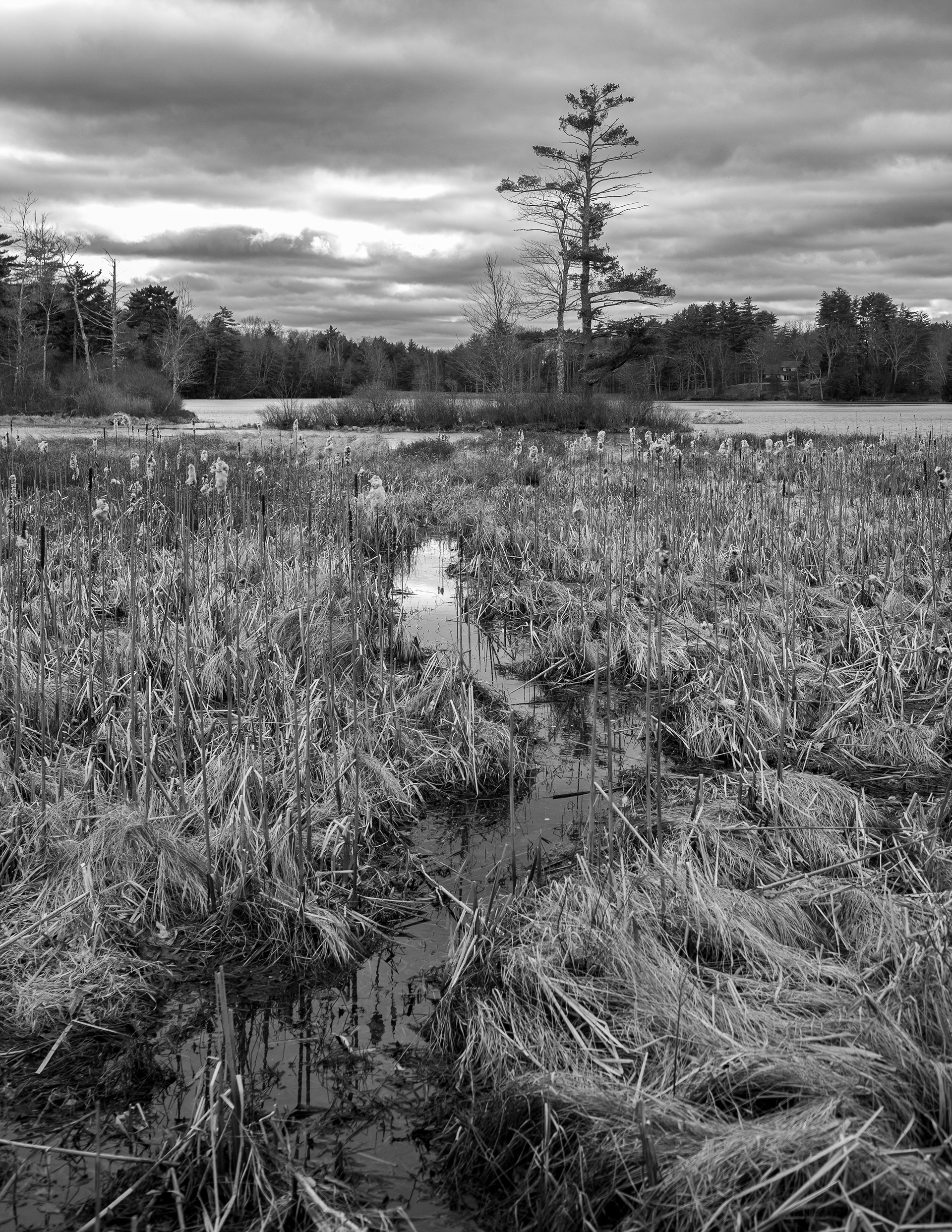 Rollins Pond No6