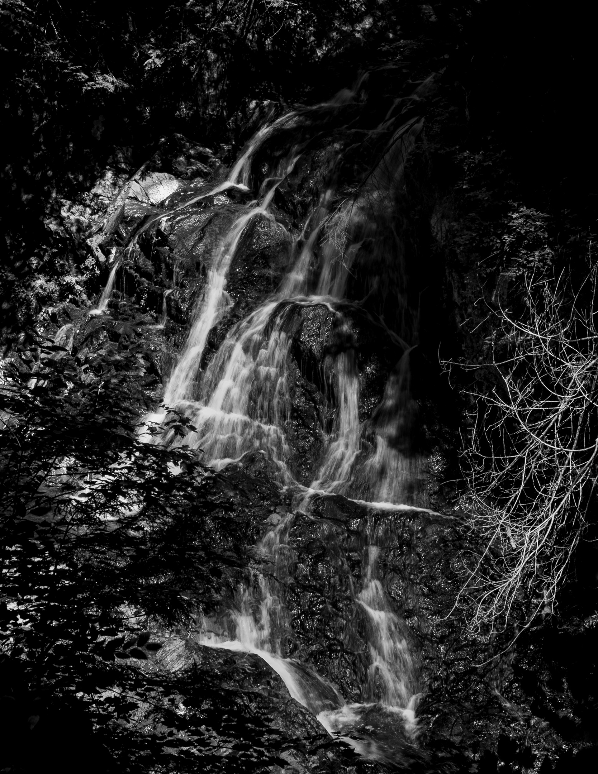 Bridal Veils at CITC in Black & White