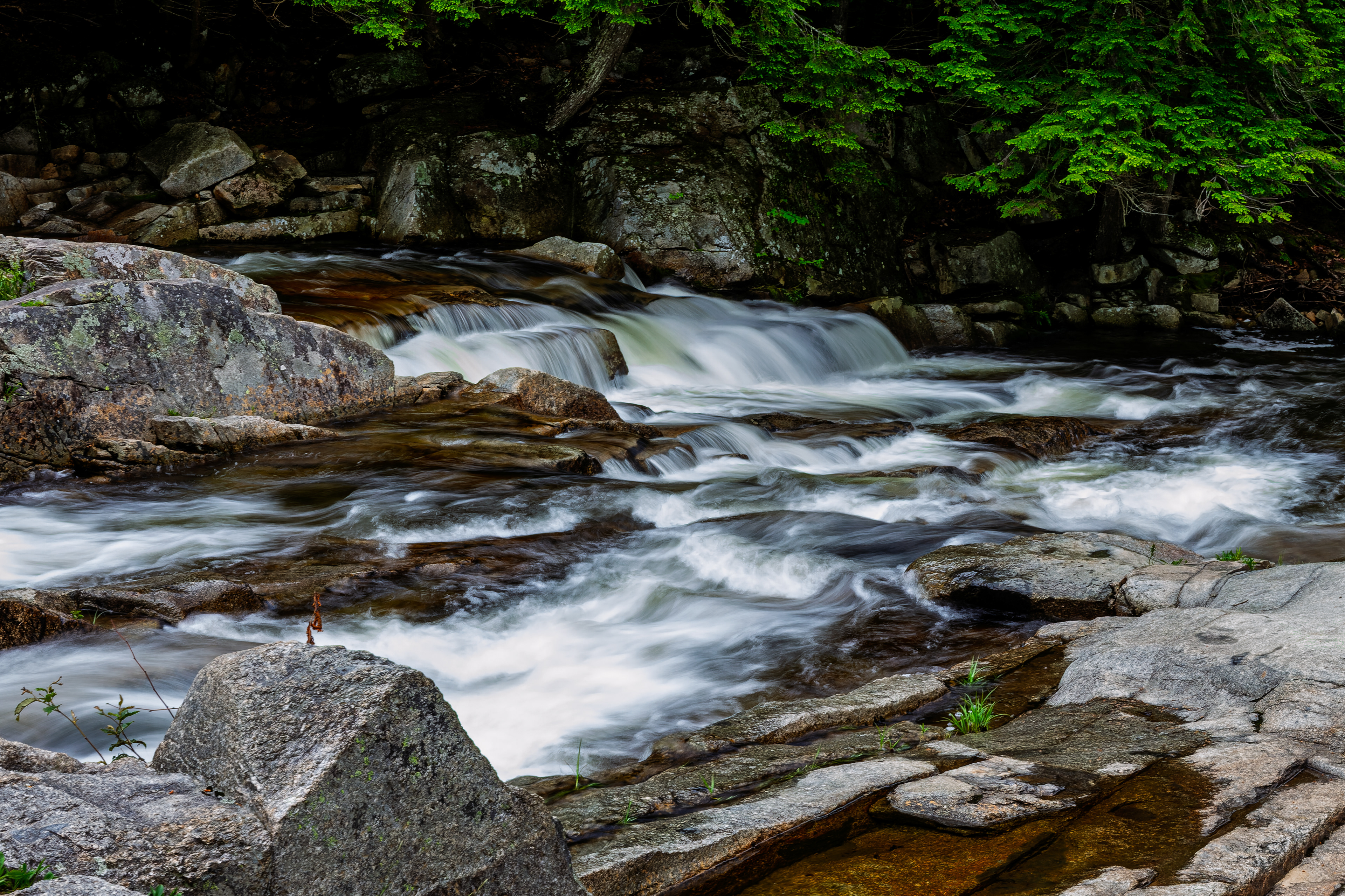 Jackson Falls No20