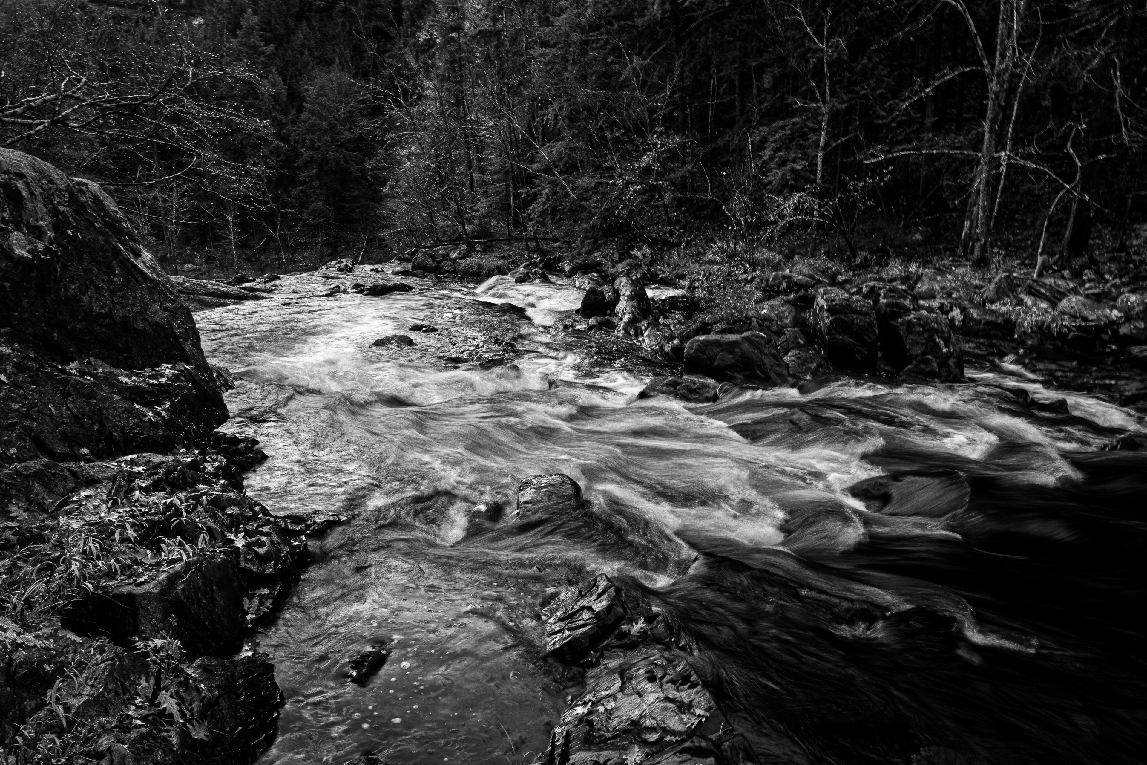 Smith River BW1