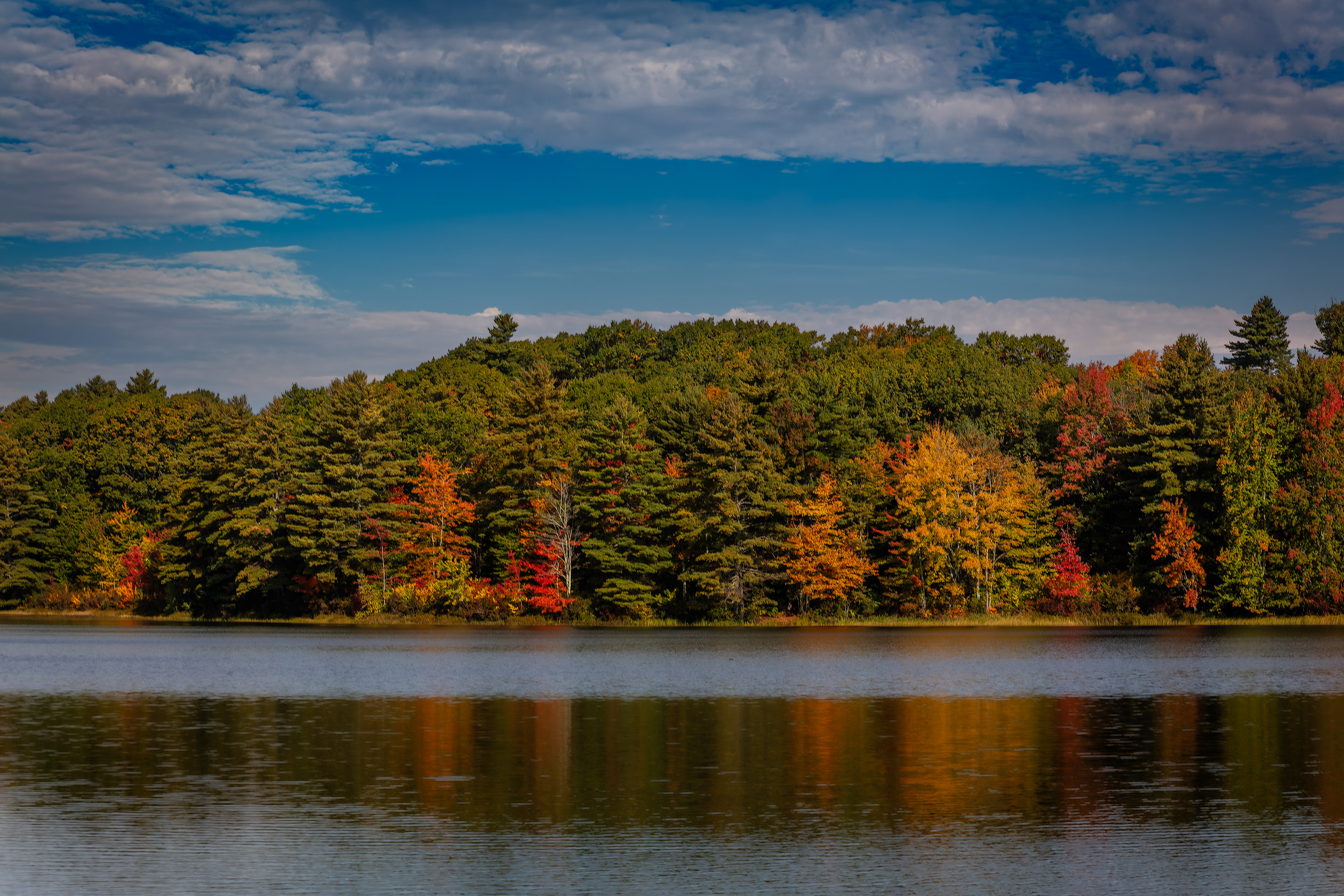 Meetinghouse Pond No4