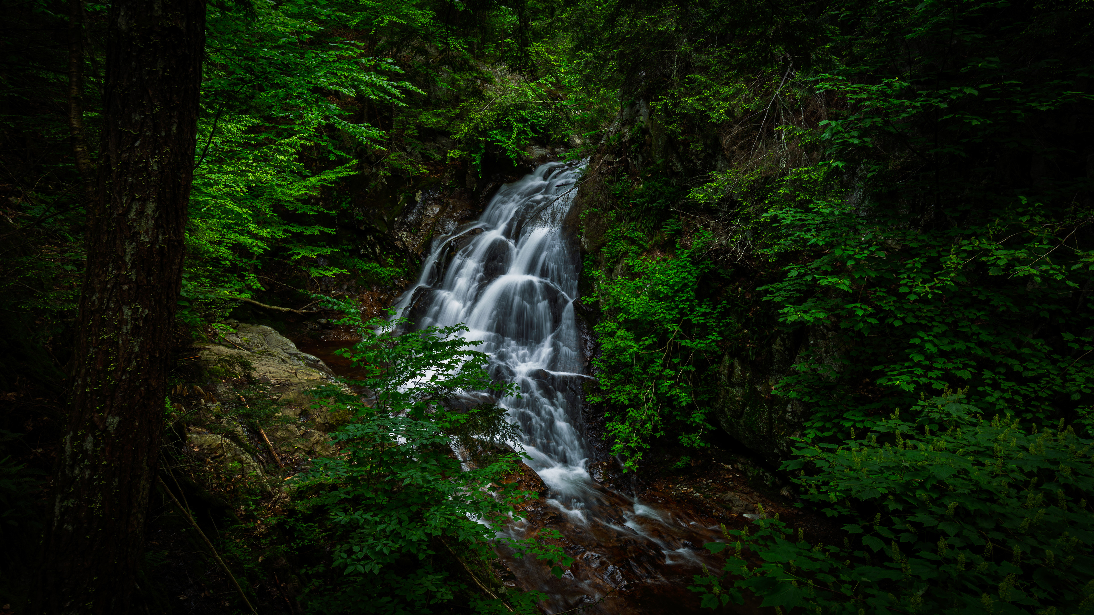 Bridal Veil Falls No10