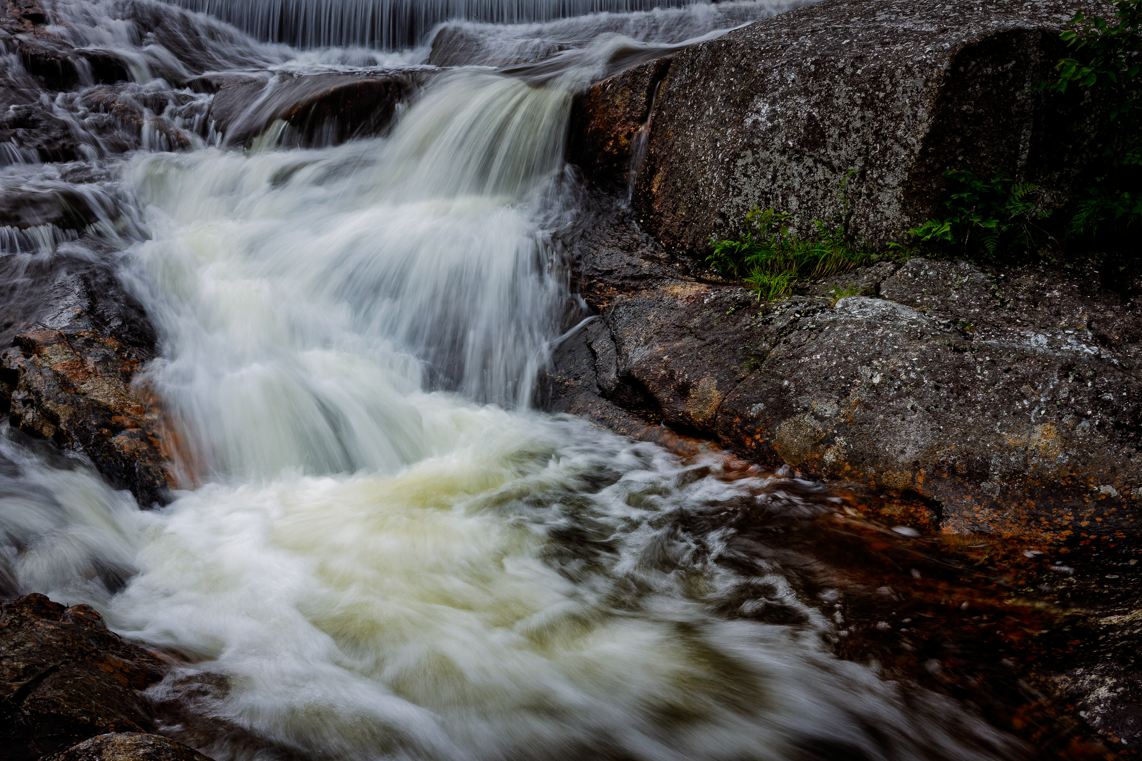 Beaver Pond Dam No12