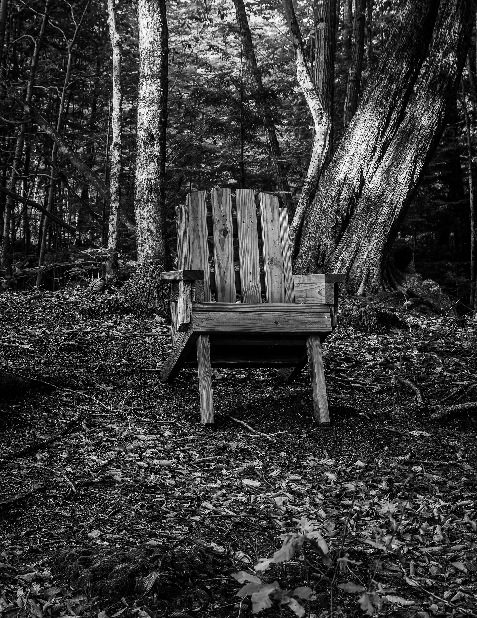 Adirondack Chair in Black & White