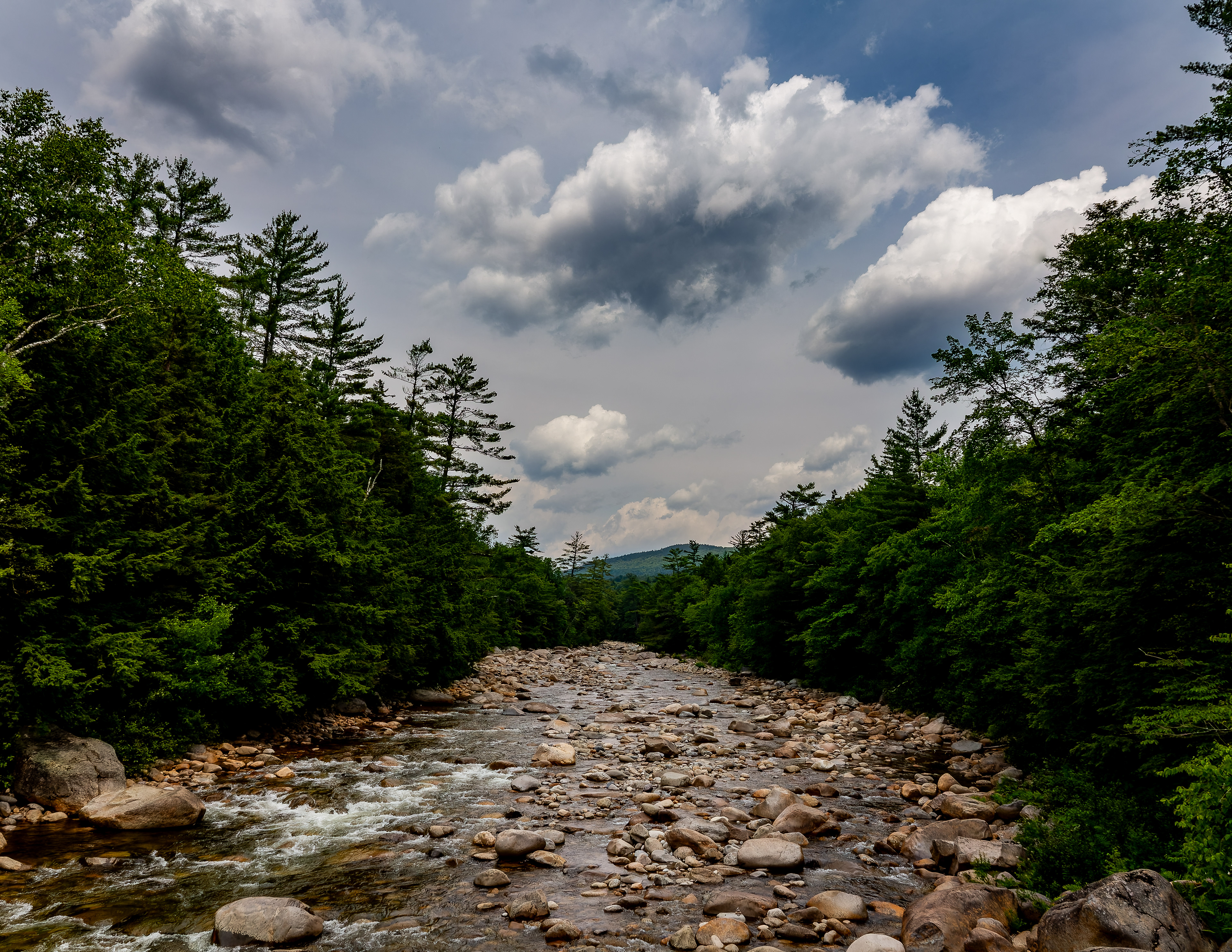 View from Suspension Bridge at Lincoln Woods