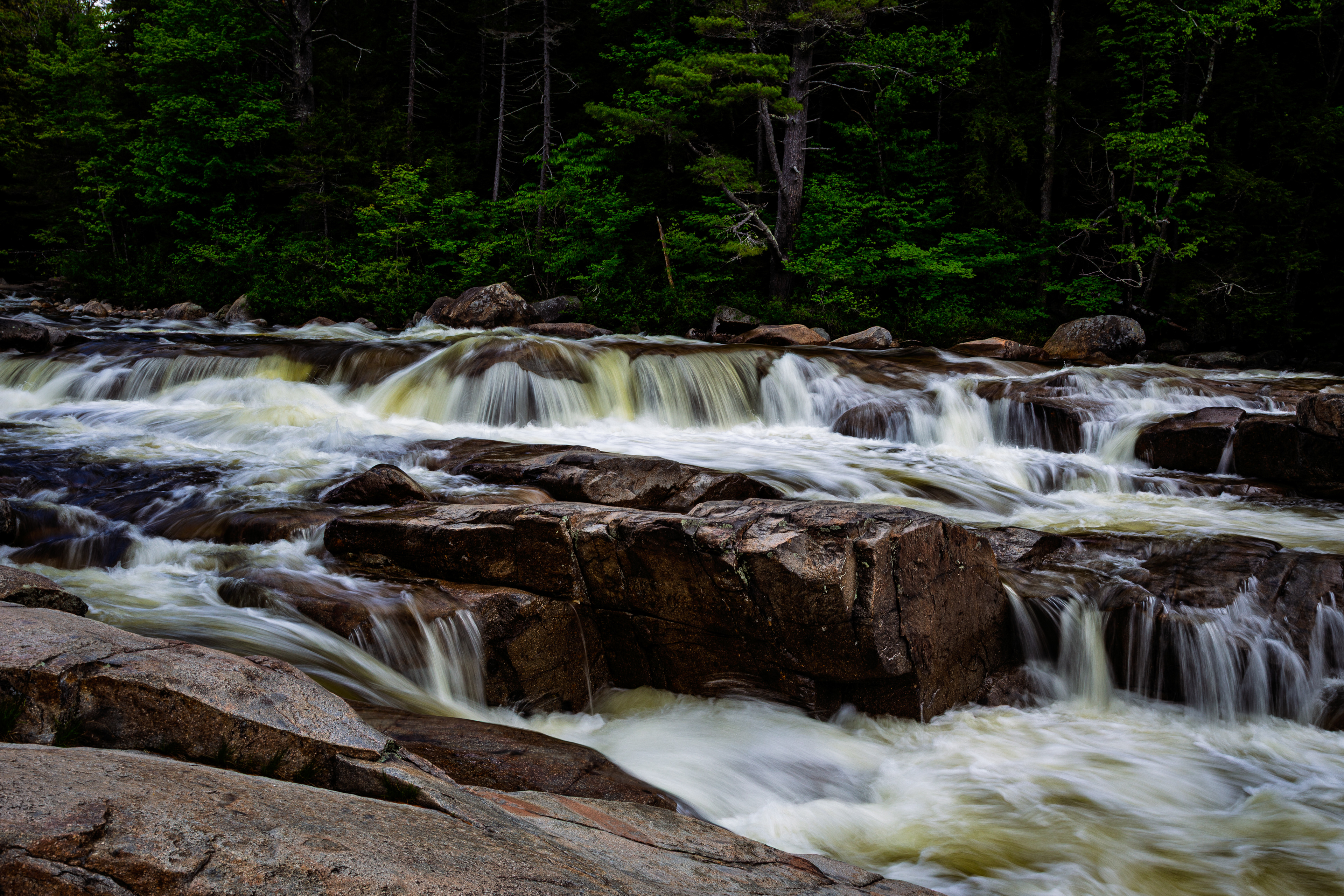 Lower Falls No21