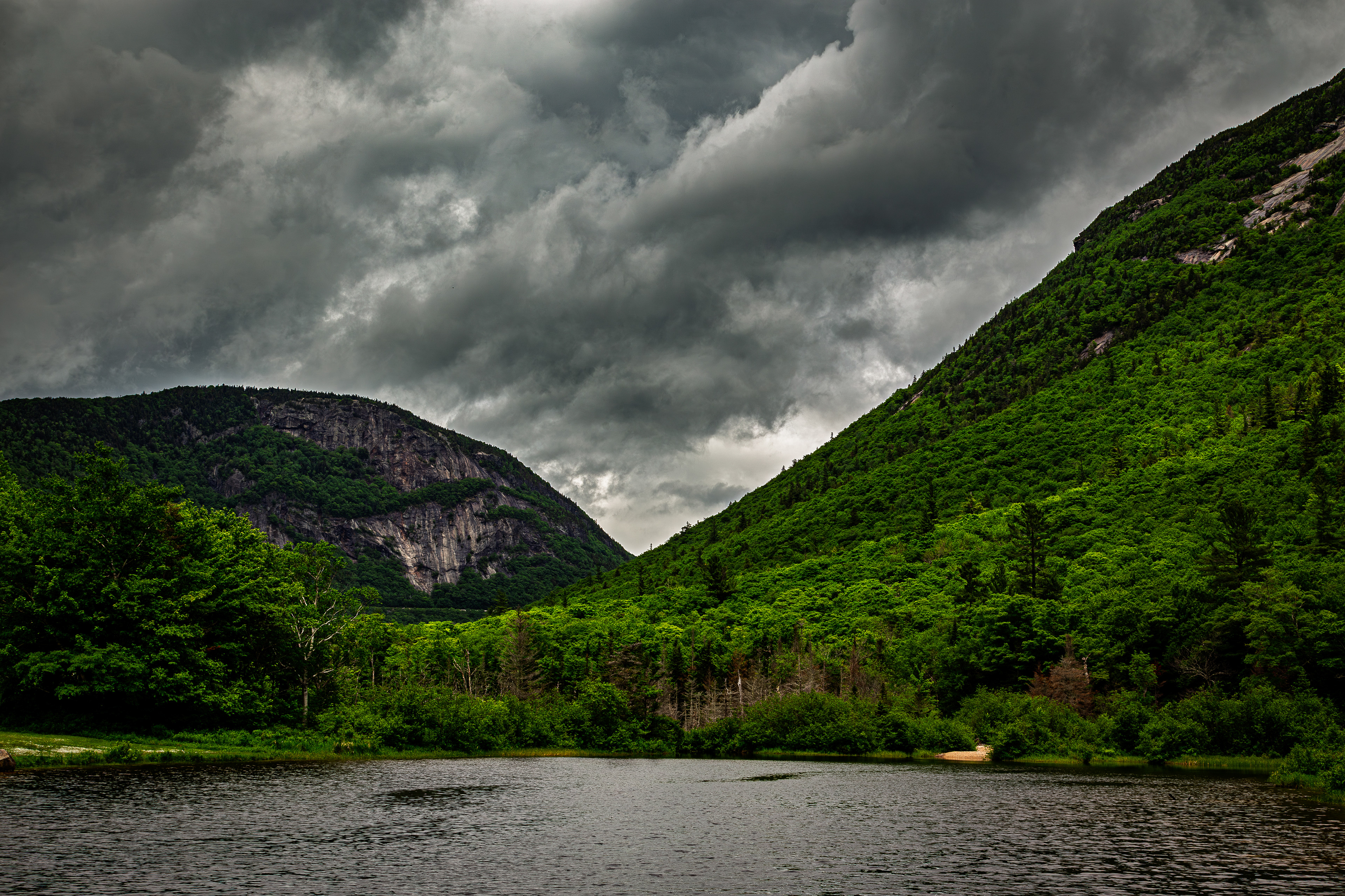Willey Pond No6