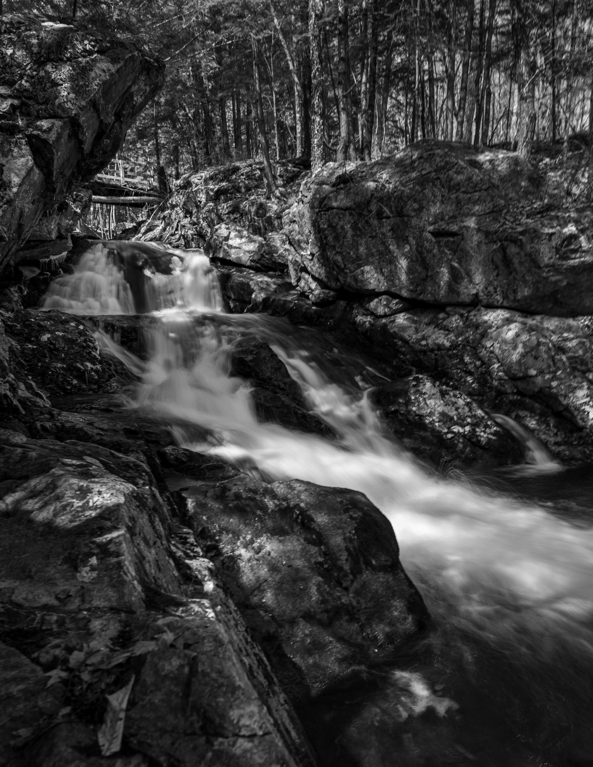 Roaring Falls No8
