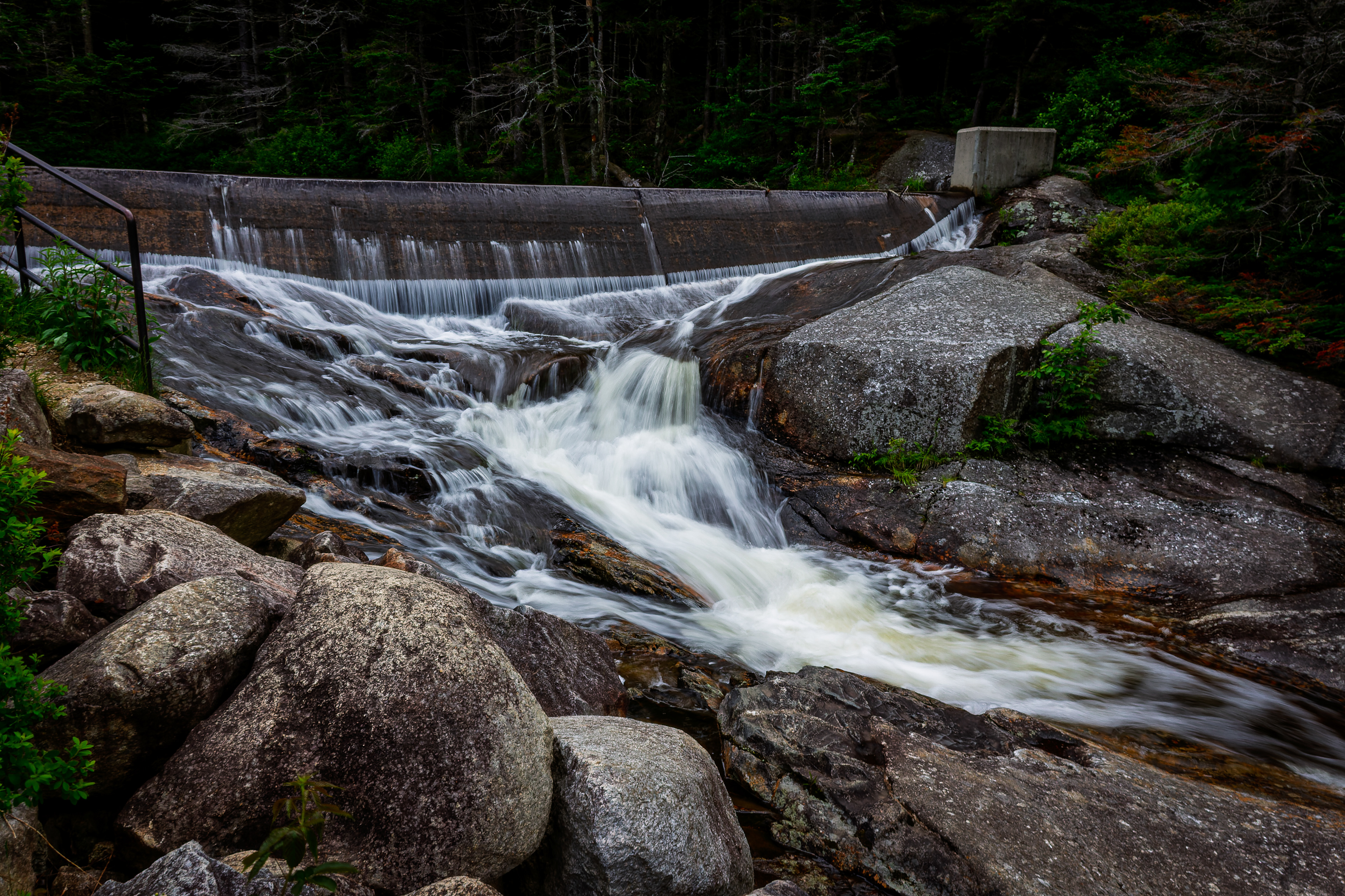Beaver Pond Dam No2