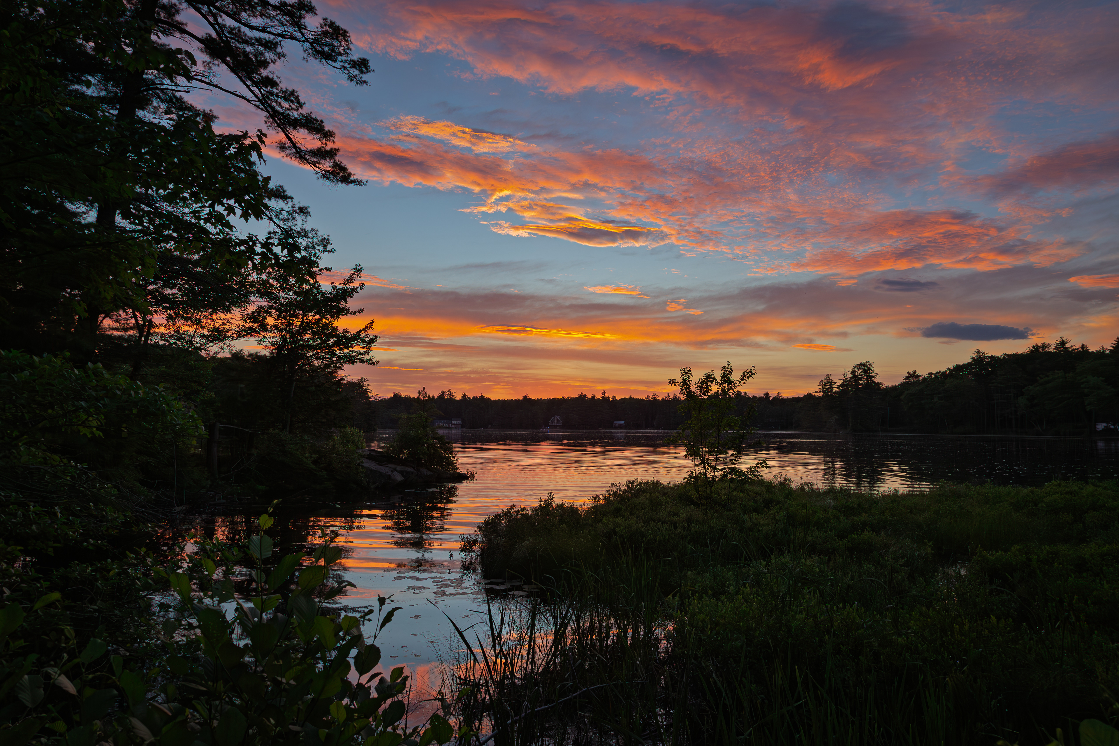 Shellcamp Sunset No19