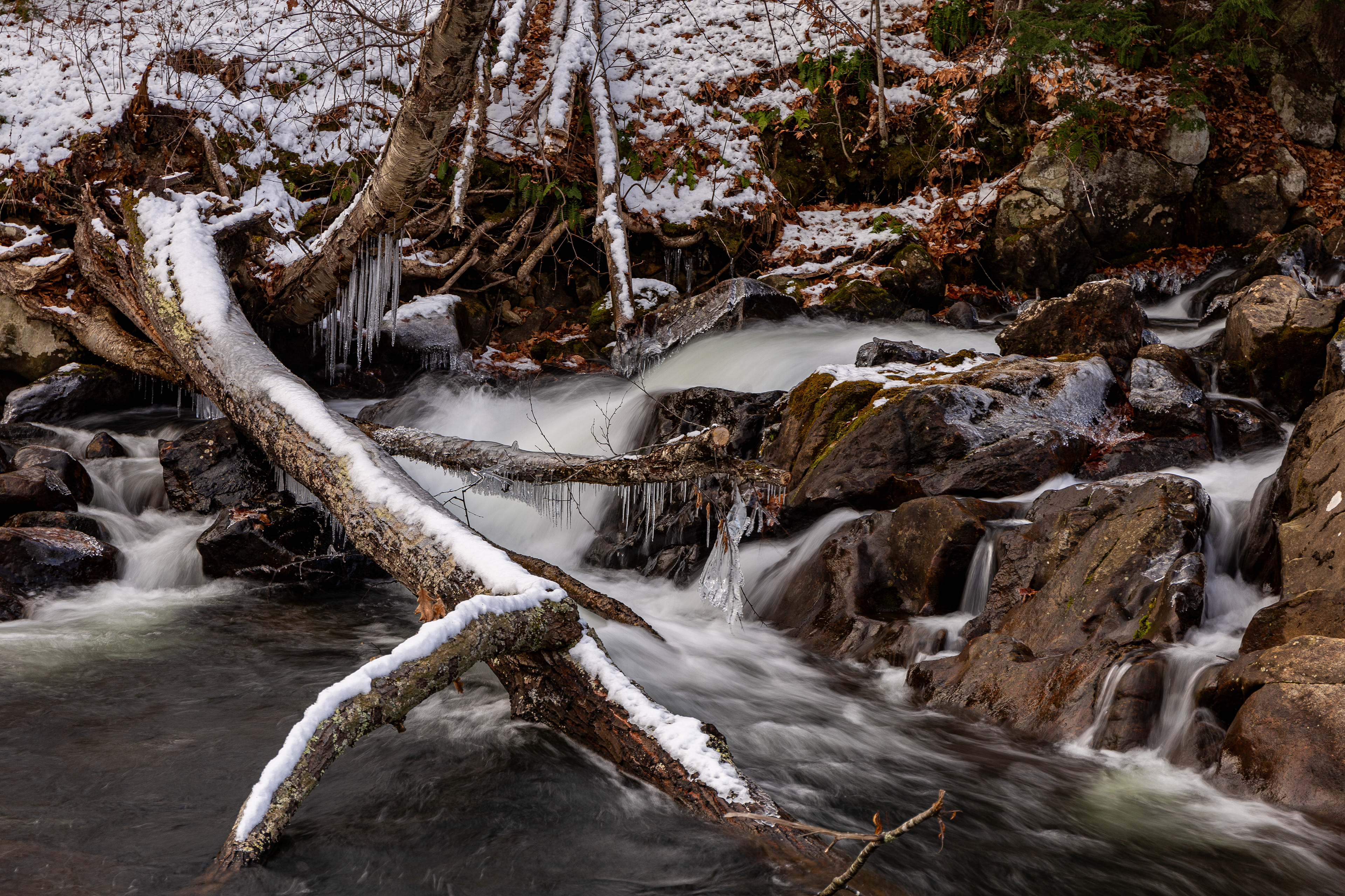 Bristol Falls Park 12-3-2024 No1