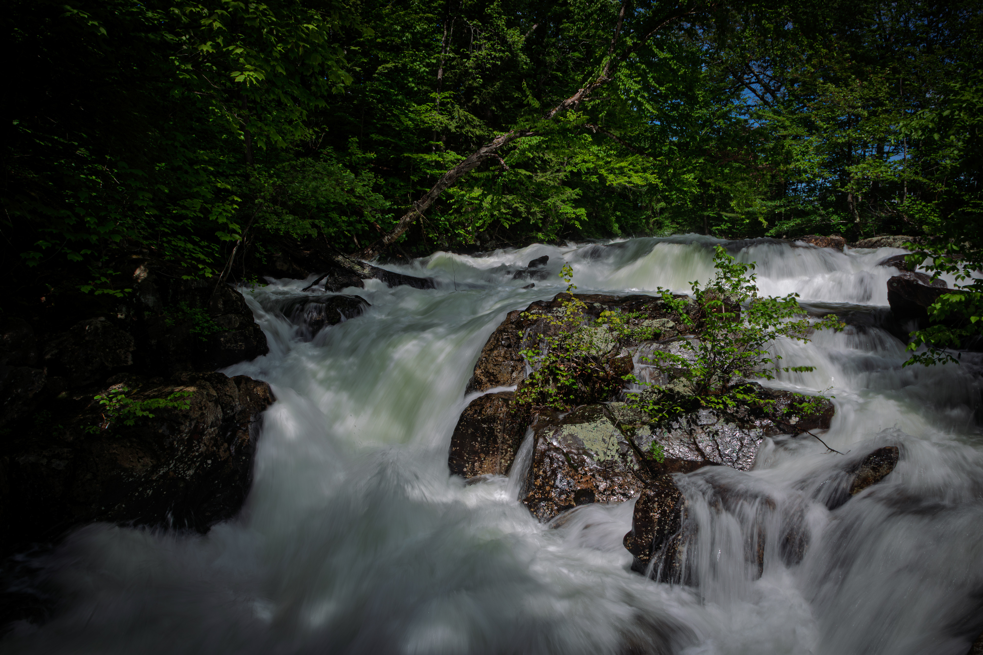 Bristol Falls Park No12
