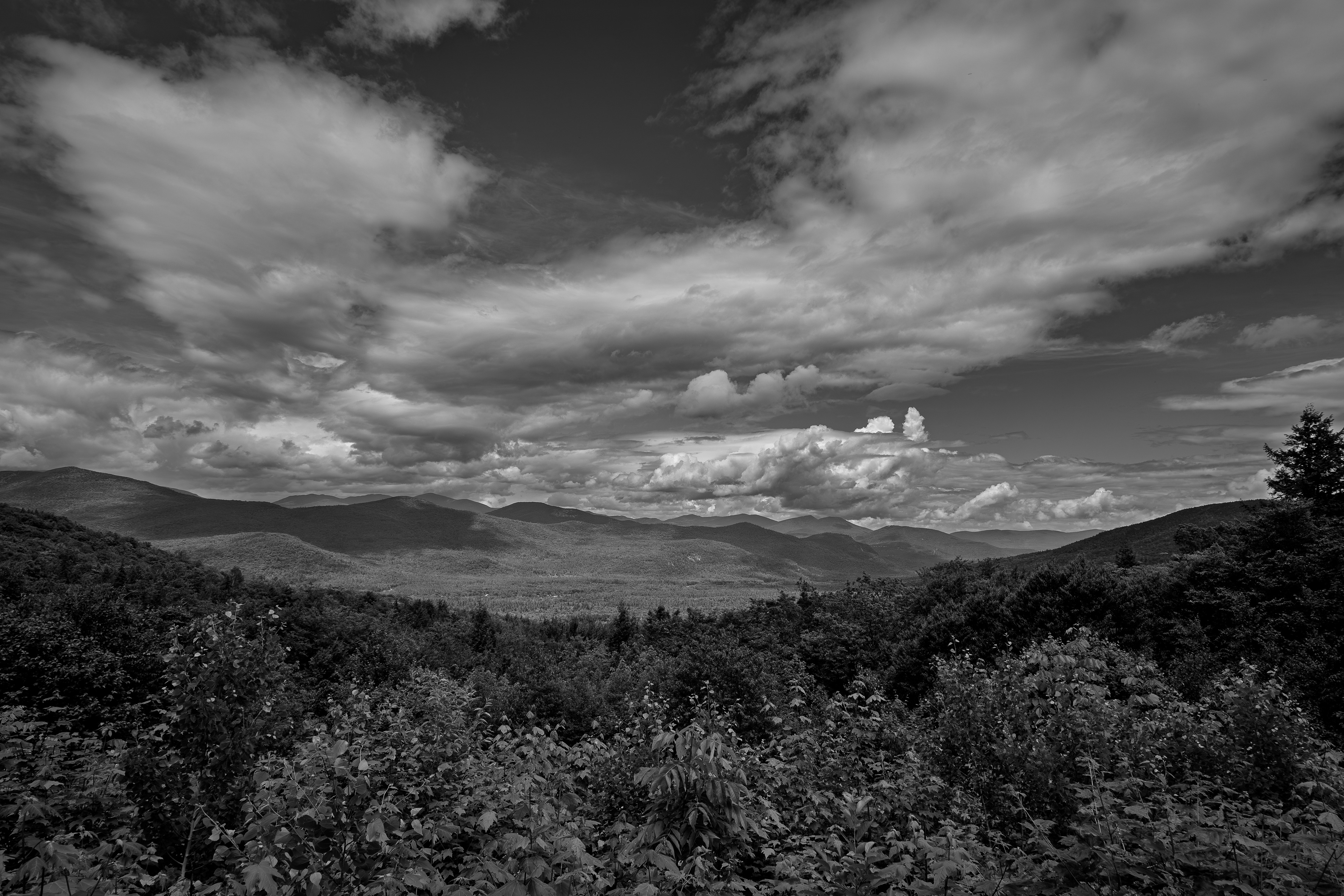 Bear Notch Scenic Vista No11