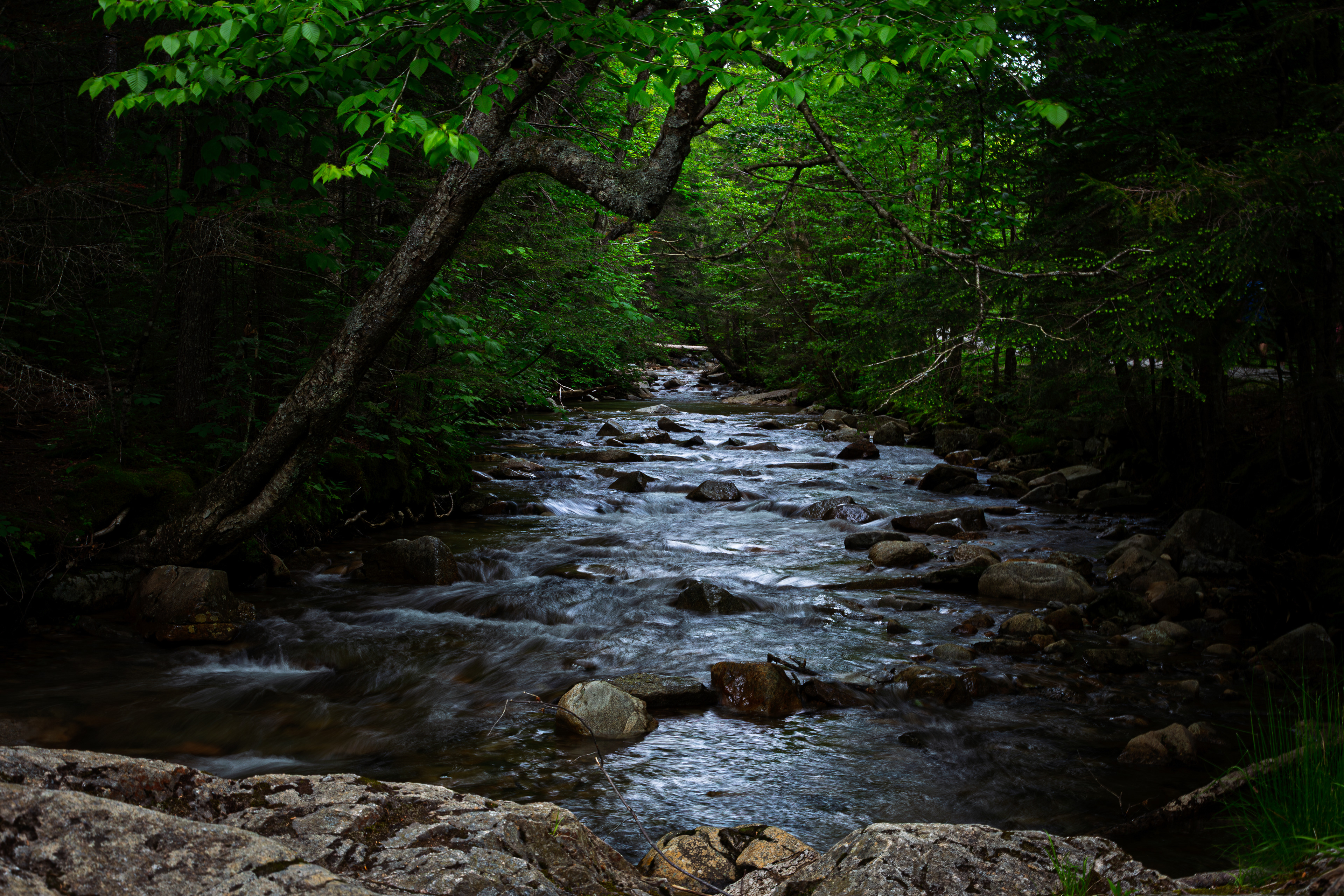 Pemigewasset River at the Basin No2