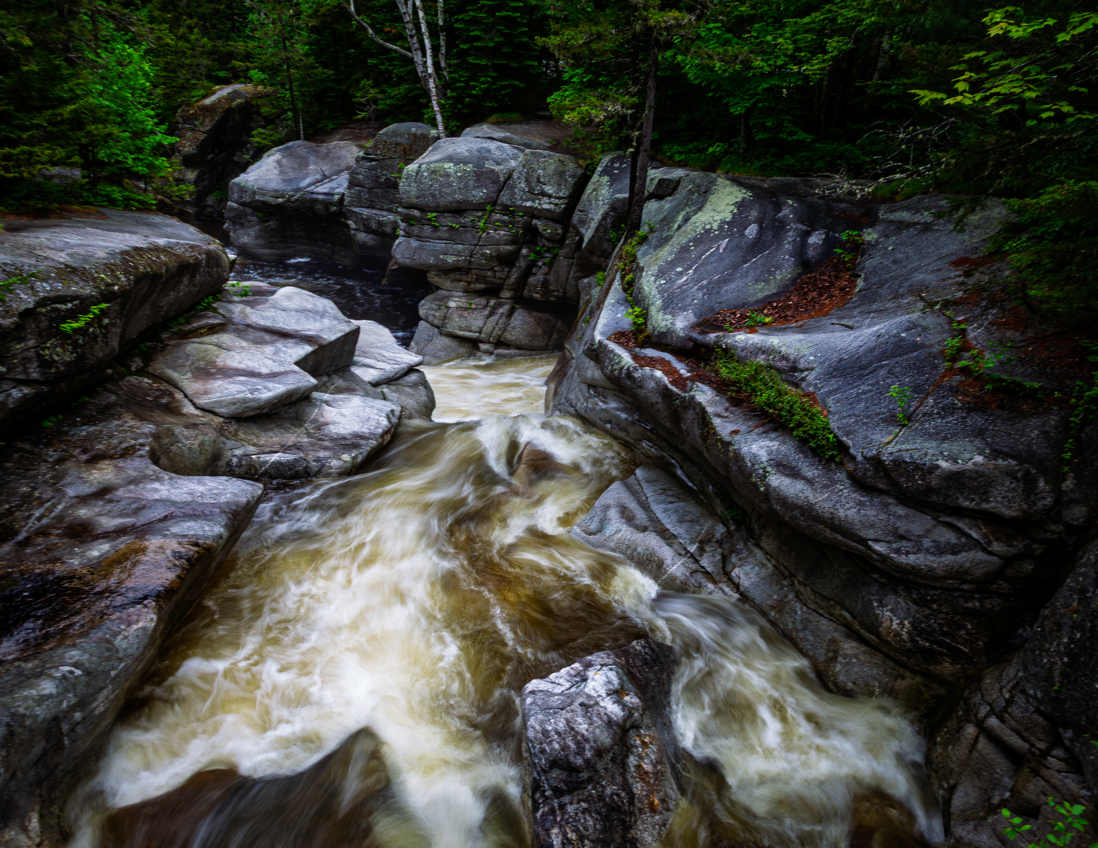 Upper Ammonoosuc Falls No14