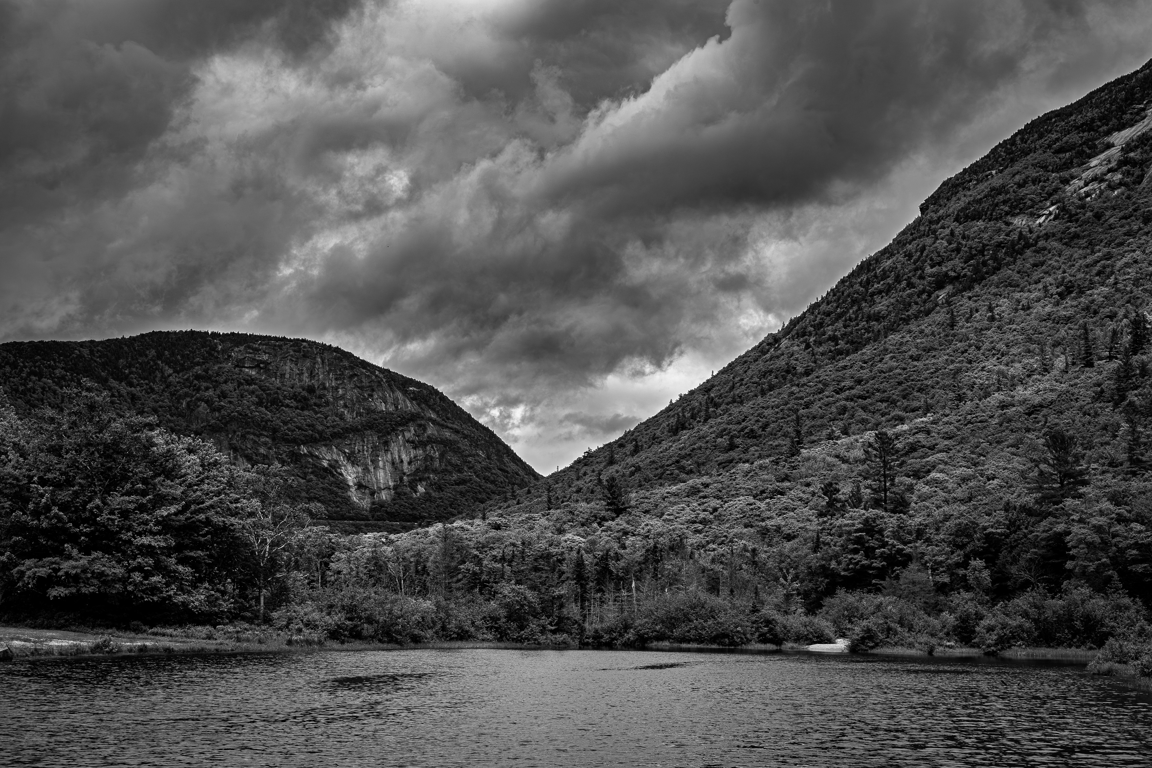 Willey Pond No5