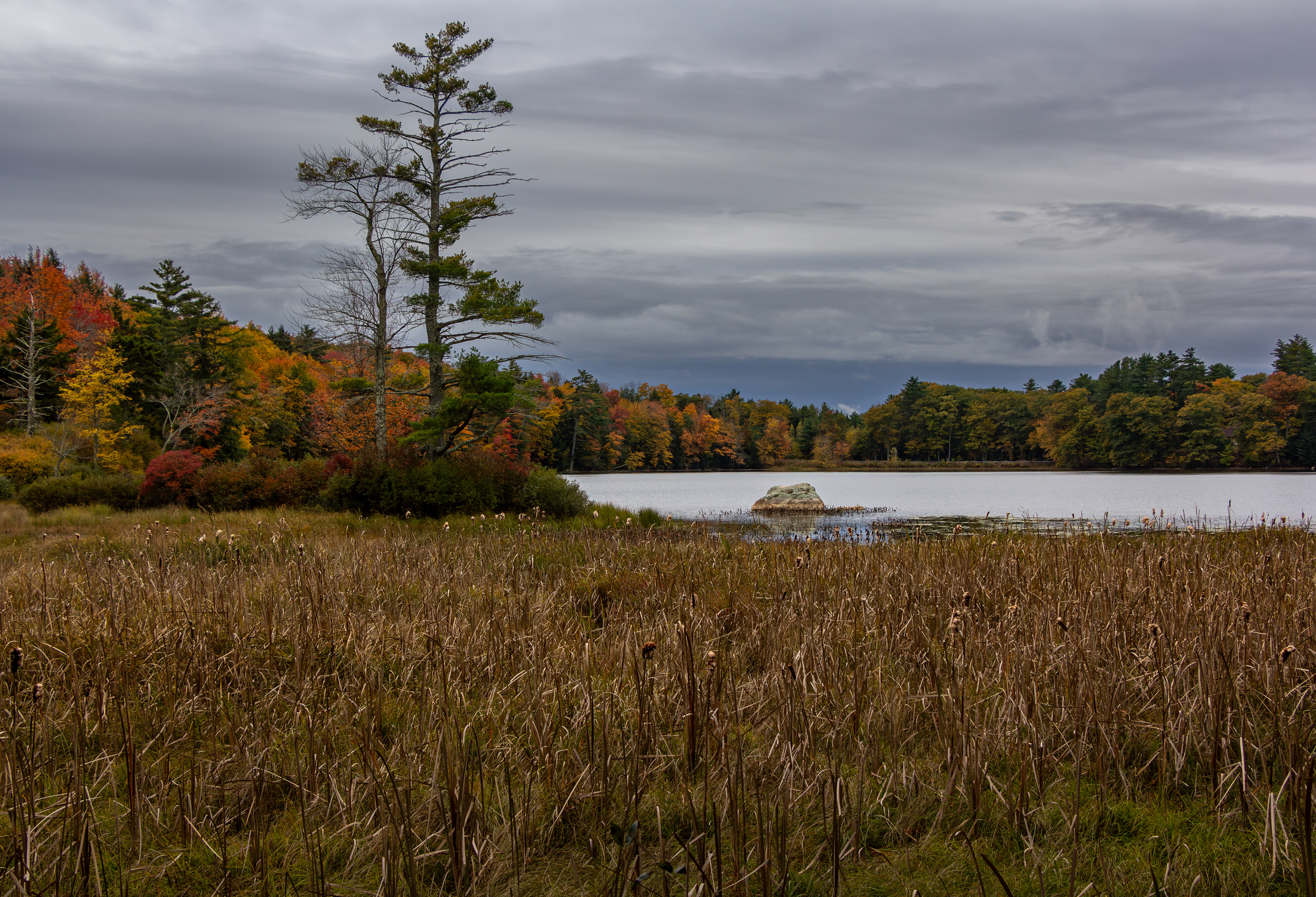 Rollins Pond No12