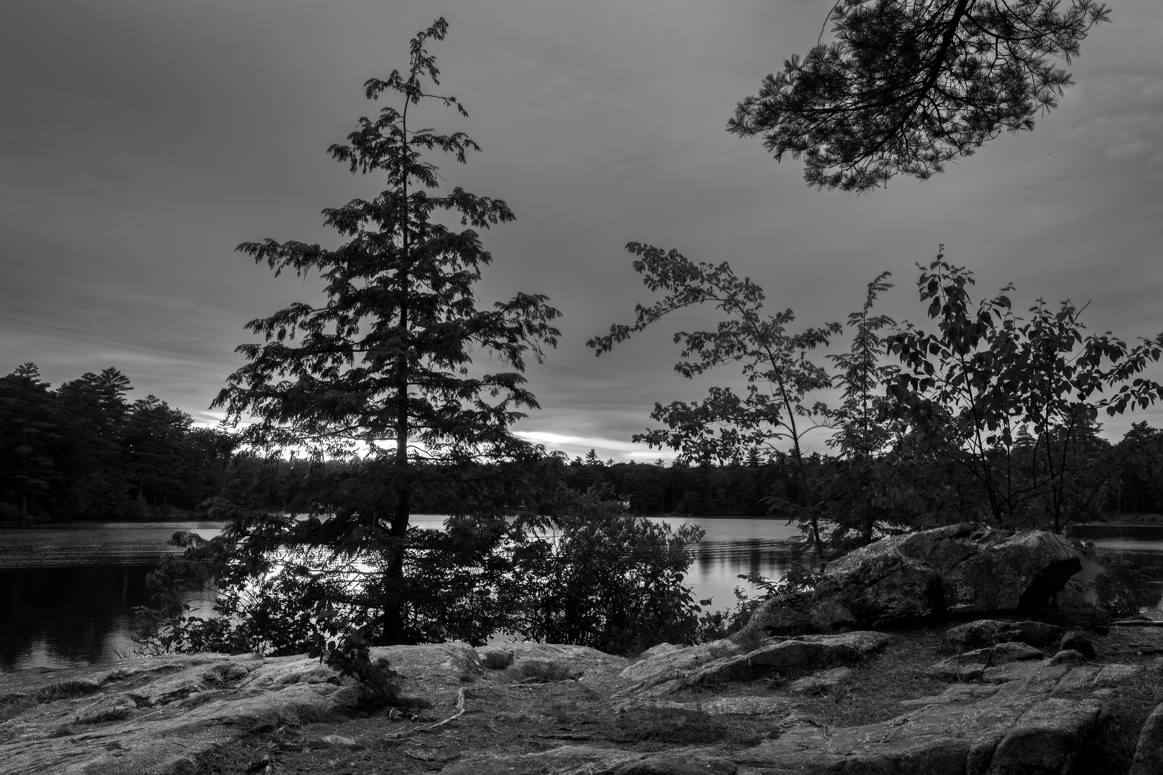 Shellcamp Pond in Black & White No3
