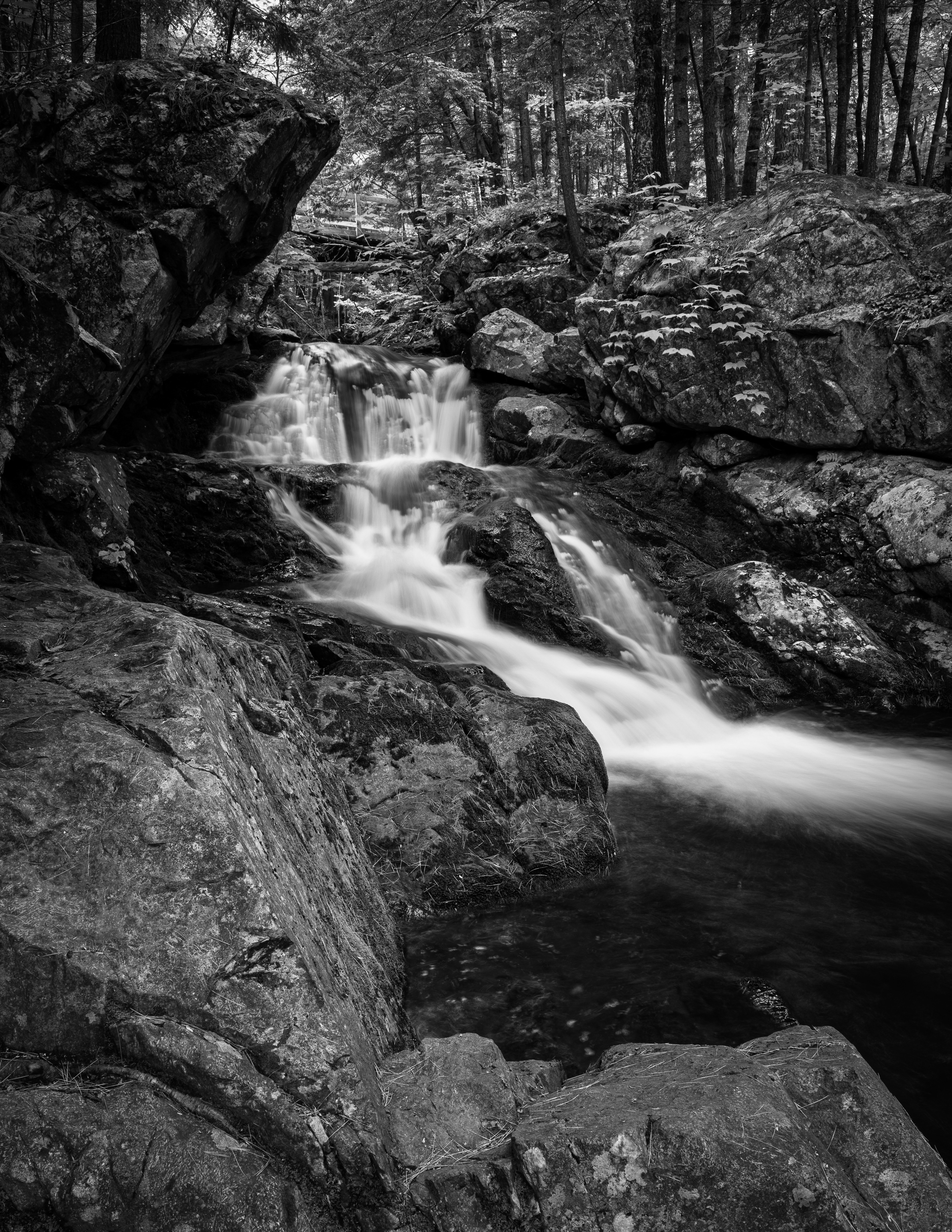Roaring Falls No3