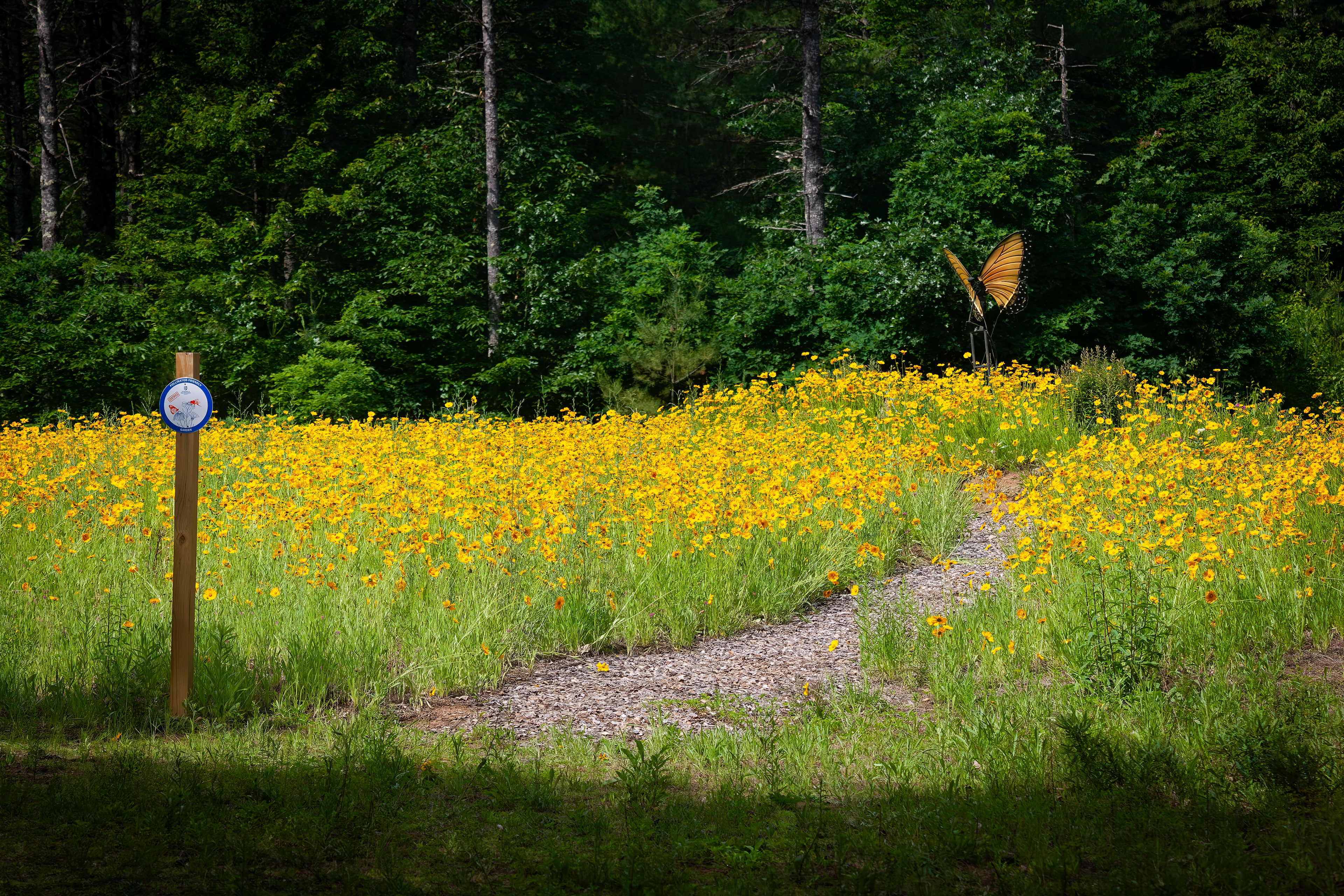 Pollinator Garden