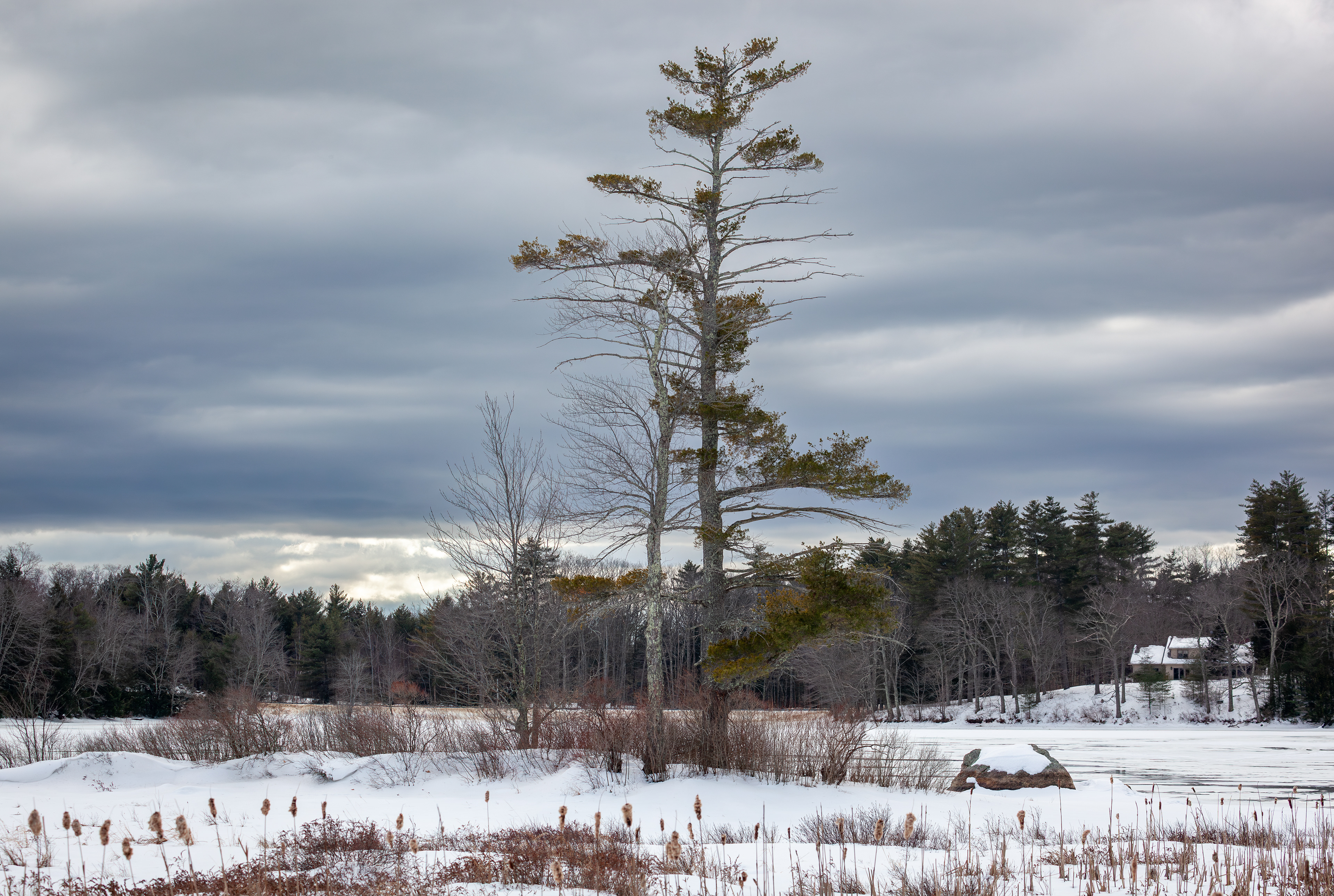 February - Rollins Pond - Gilmanton, NH No1