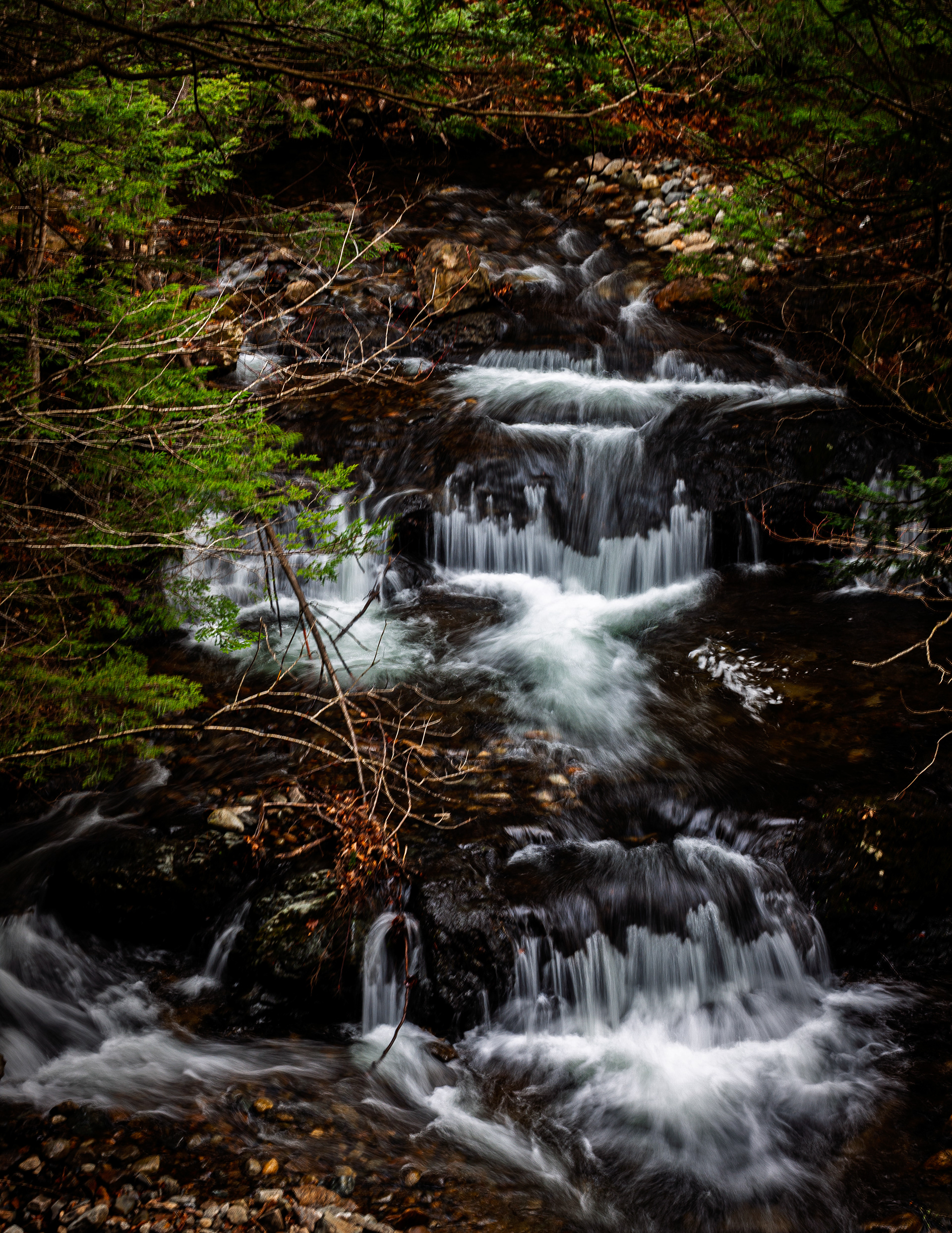 CITC Brook Walk - The Cascades No24