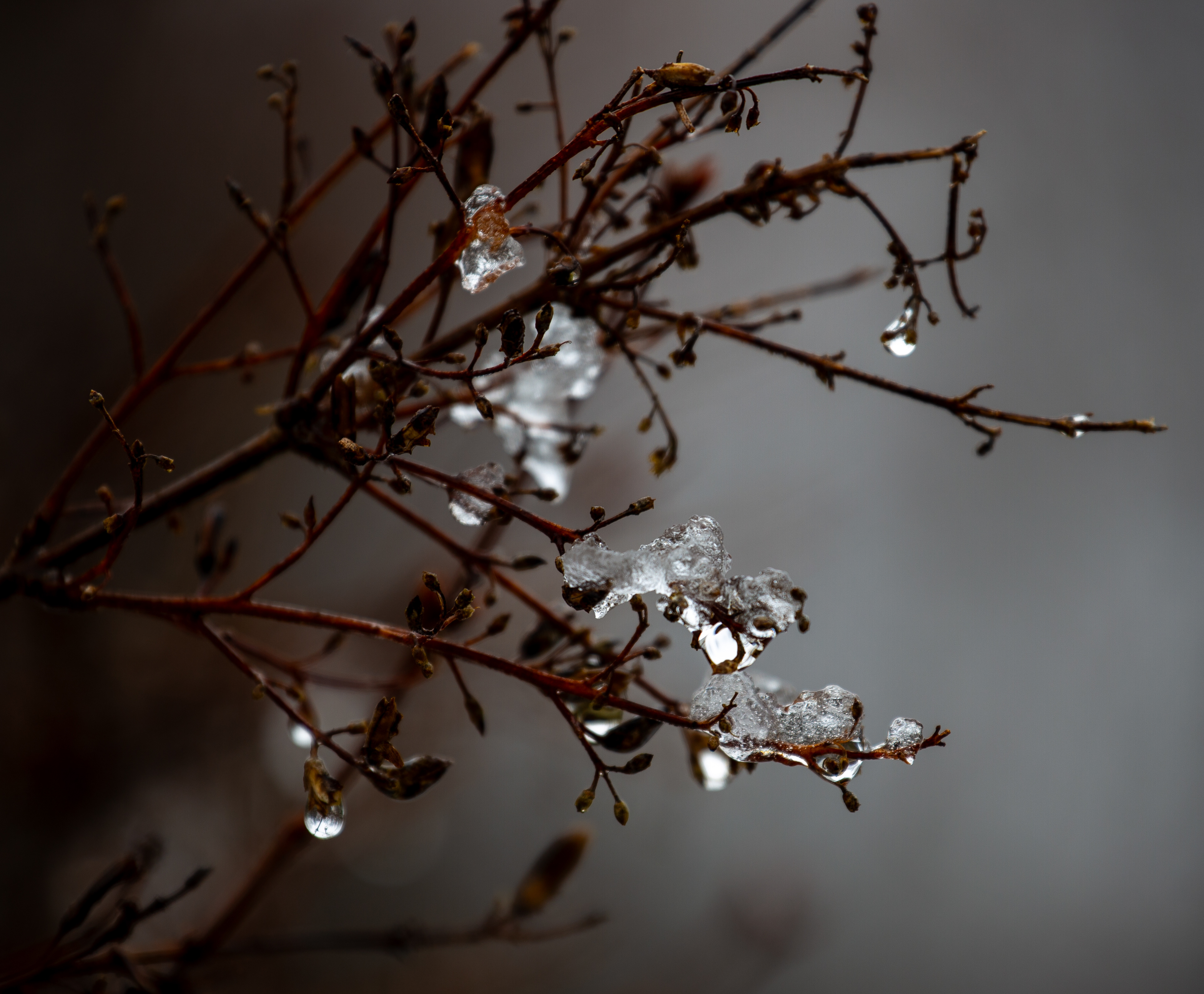 Ice Crystals