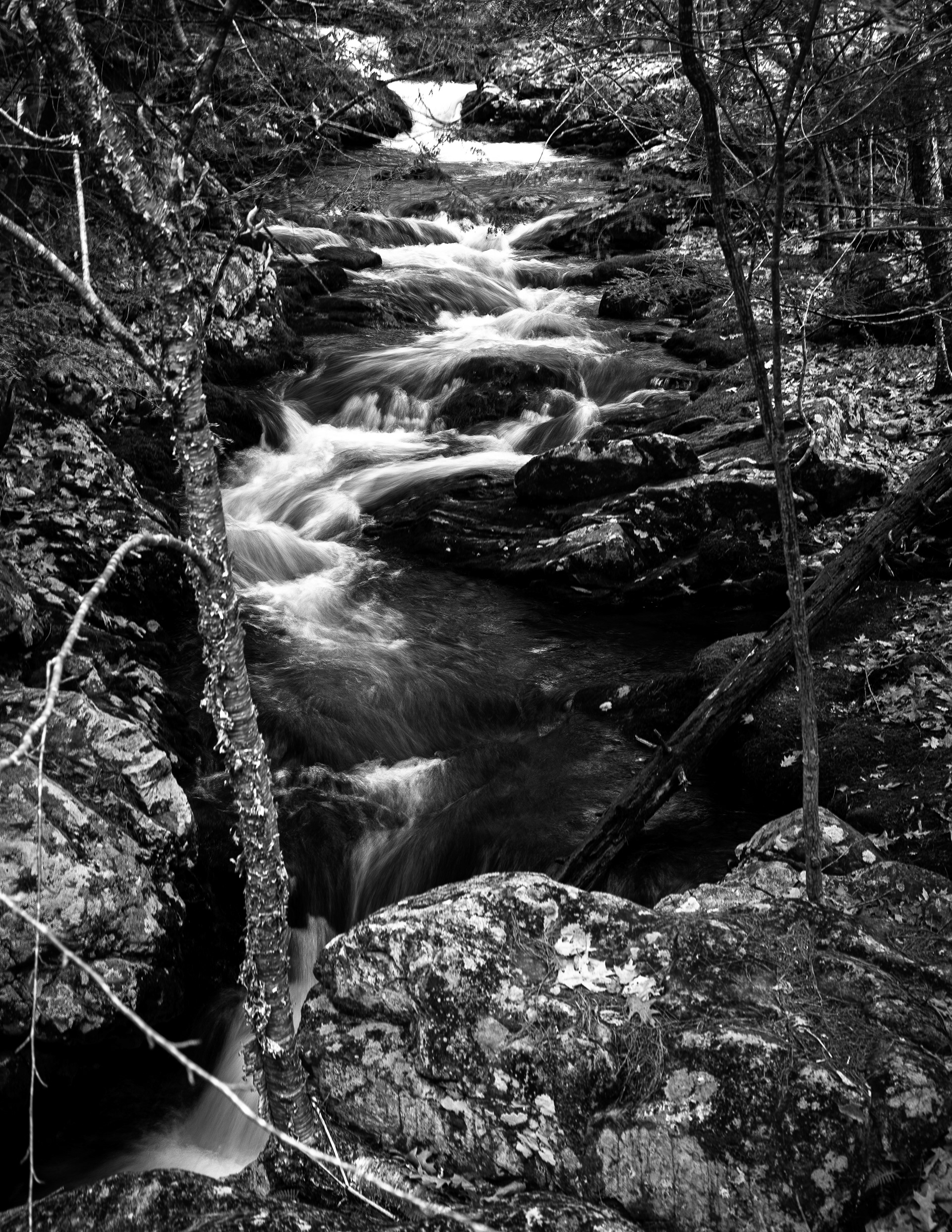 CITC Brook Walk - Cascade No5