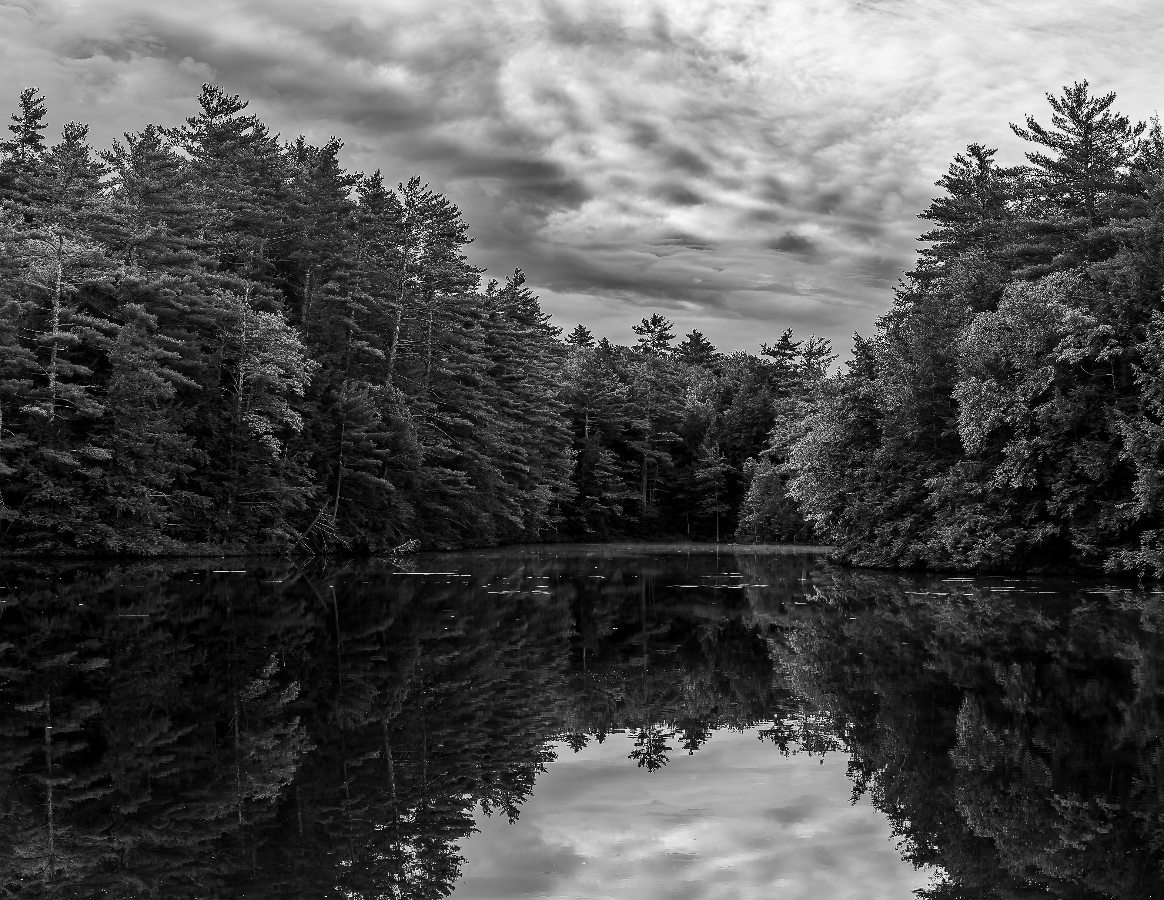Shellcamp Reflections No3 - September 20, 2026