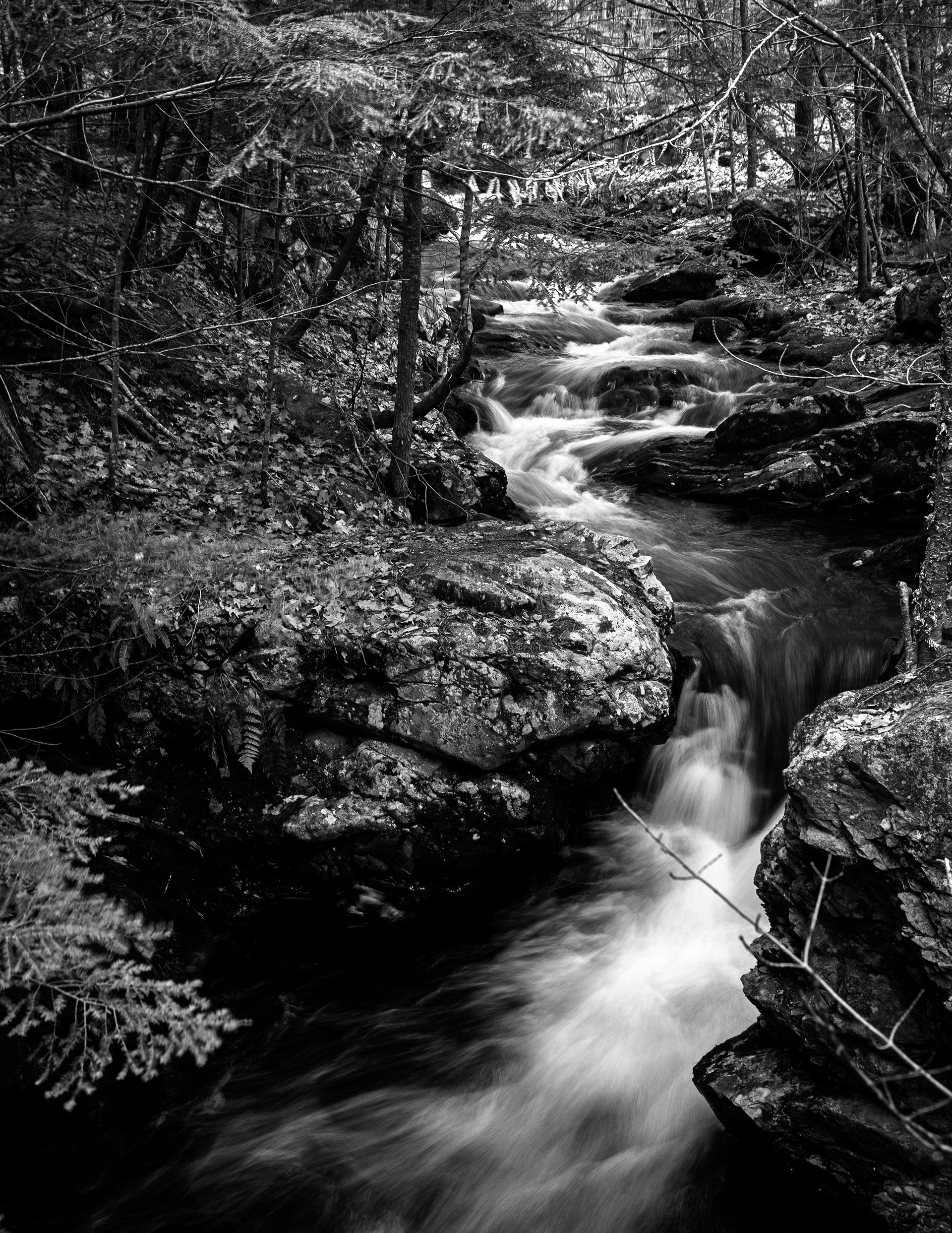 CITC Brook Walk - Cascade No3