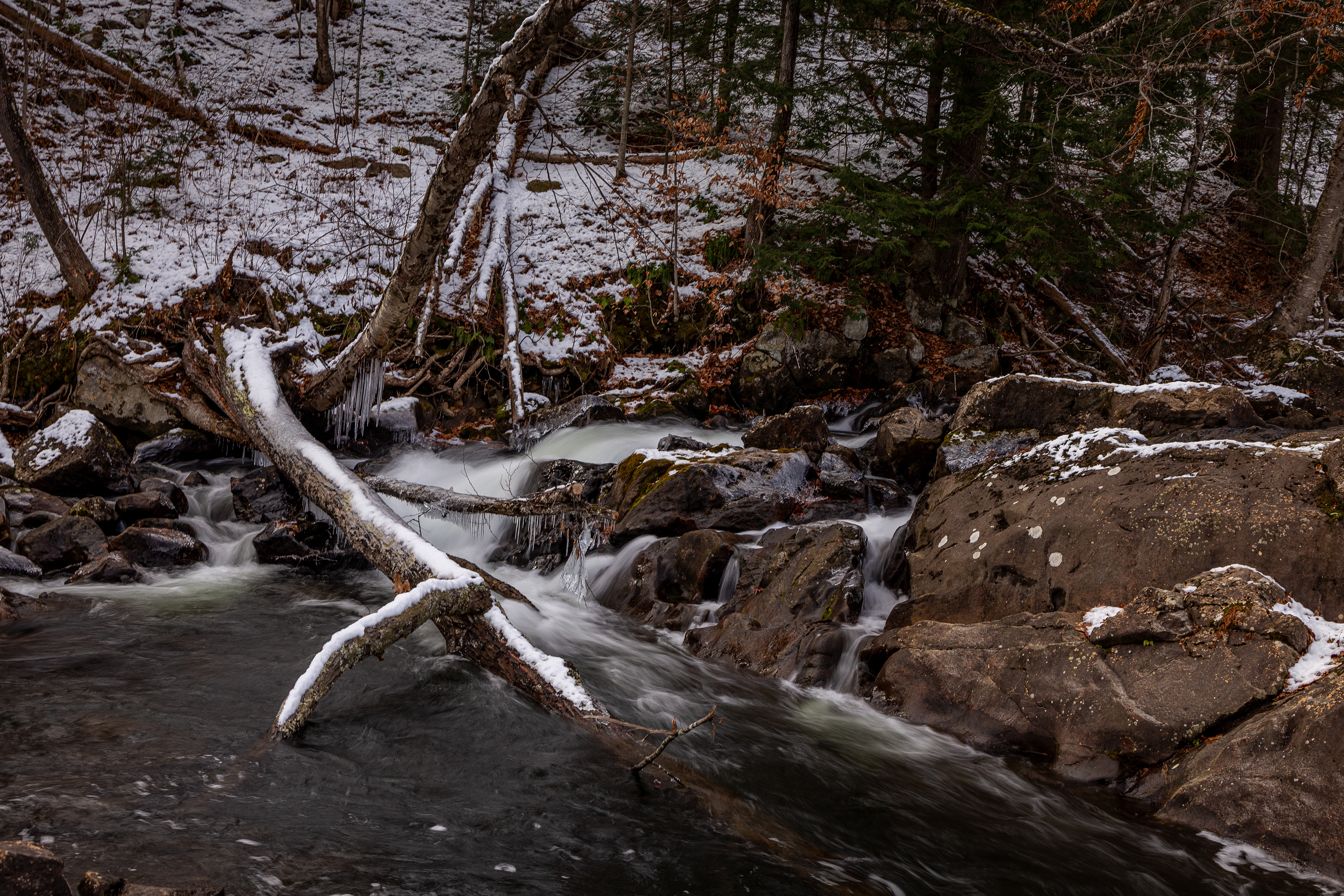 Bristol Falls Park 12-3-2024 No14