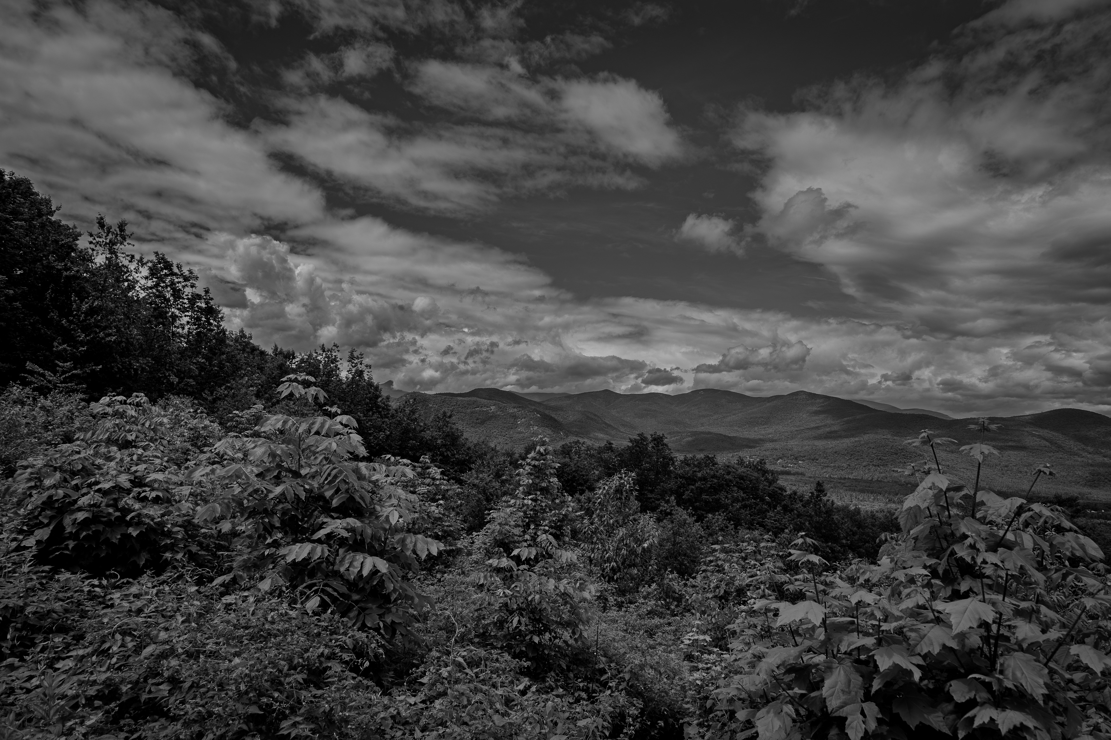 Bear Notch Scenic Vista No1