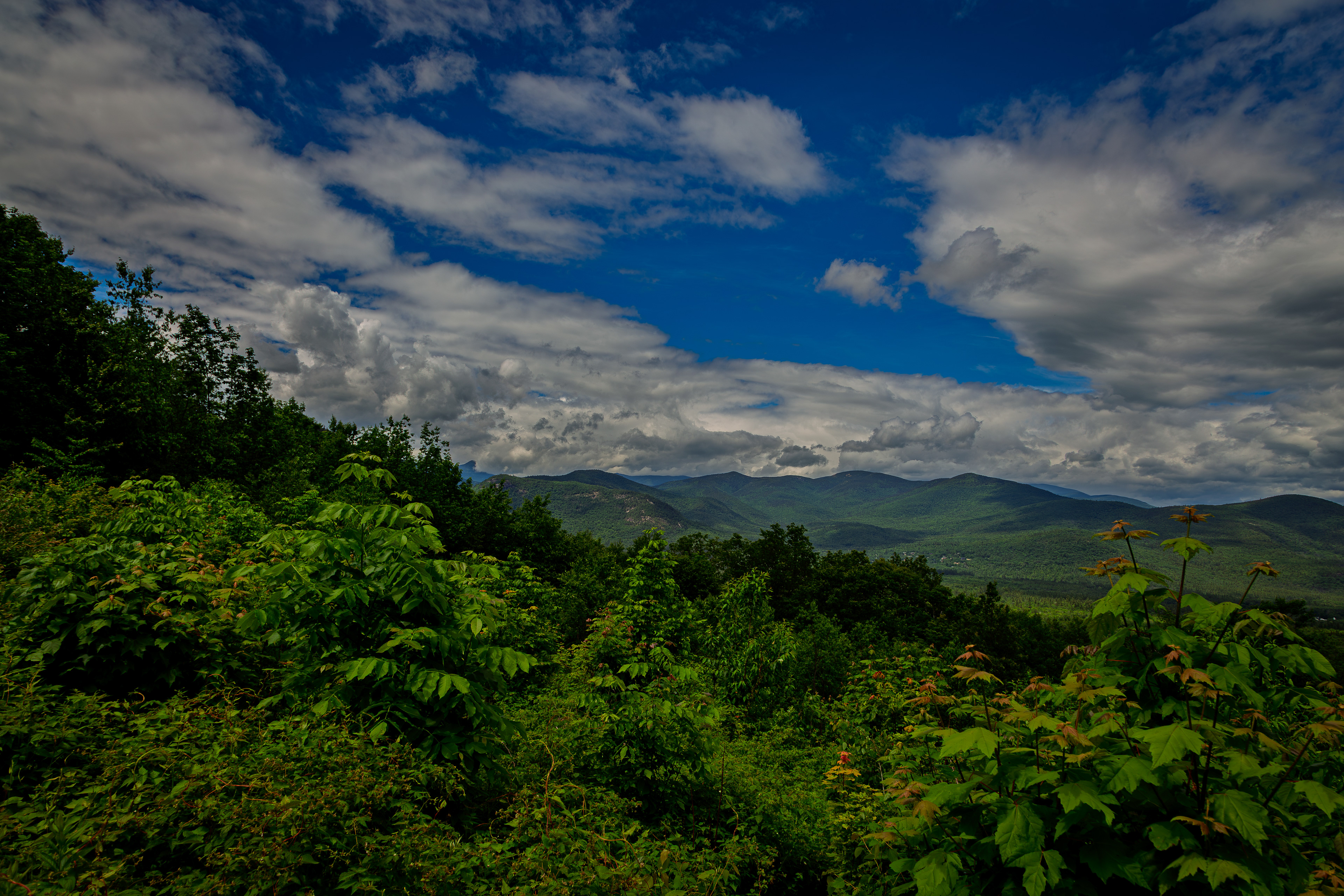 Bear Notch Scenic Vista No2