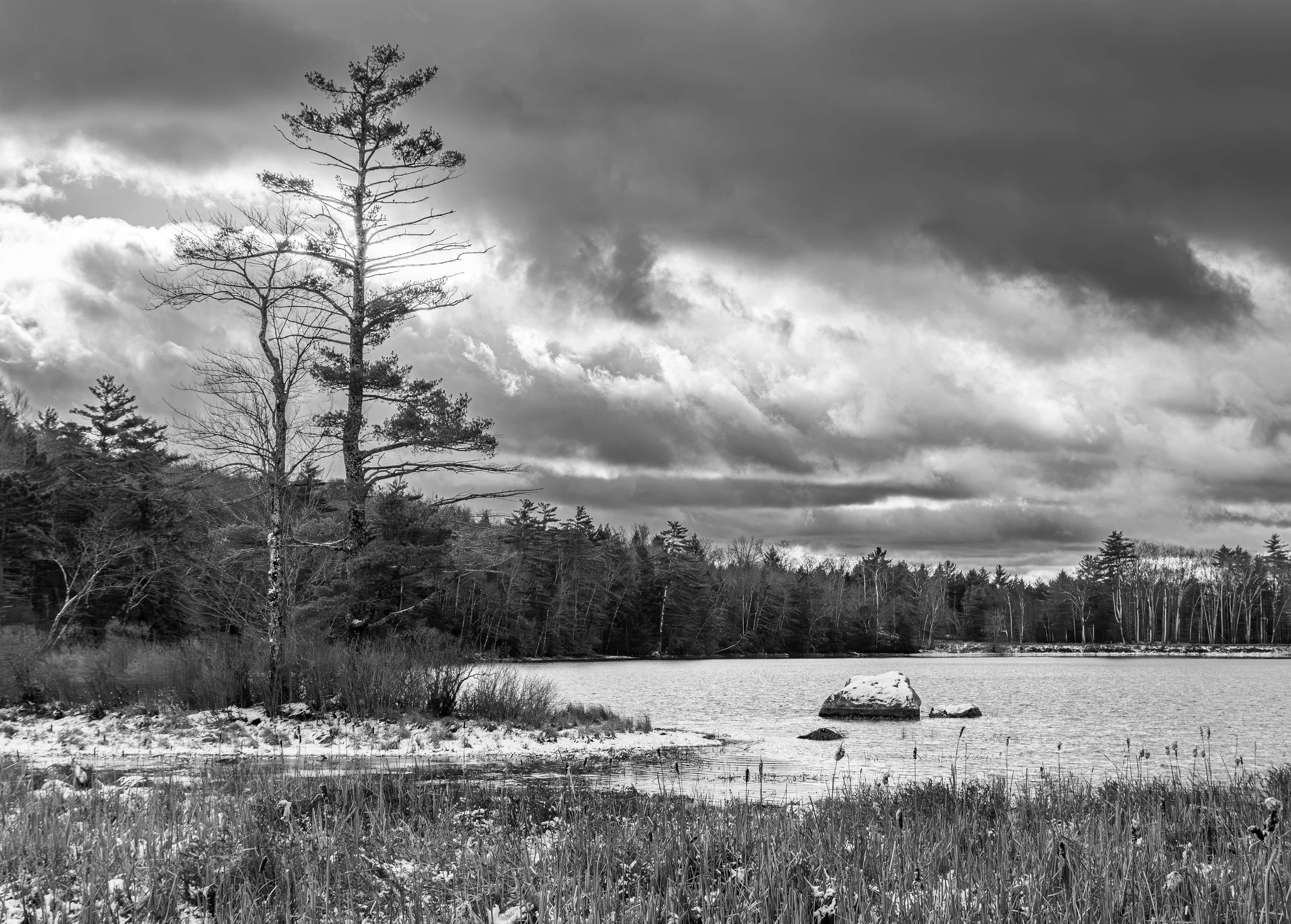 Rollins Pond No3