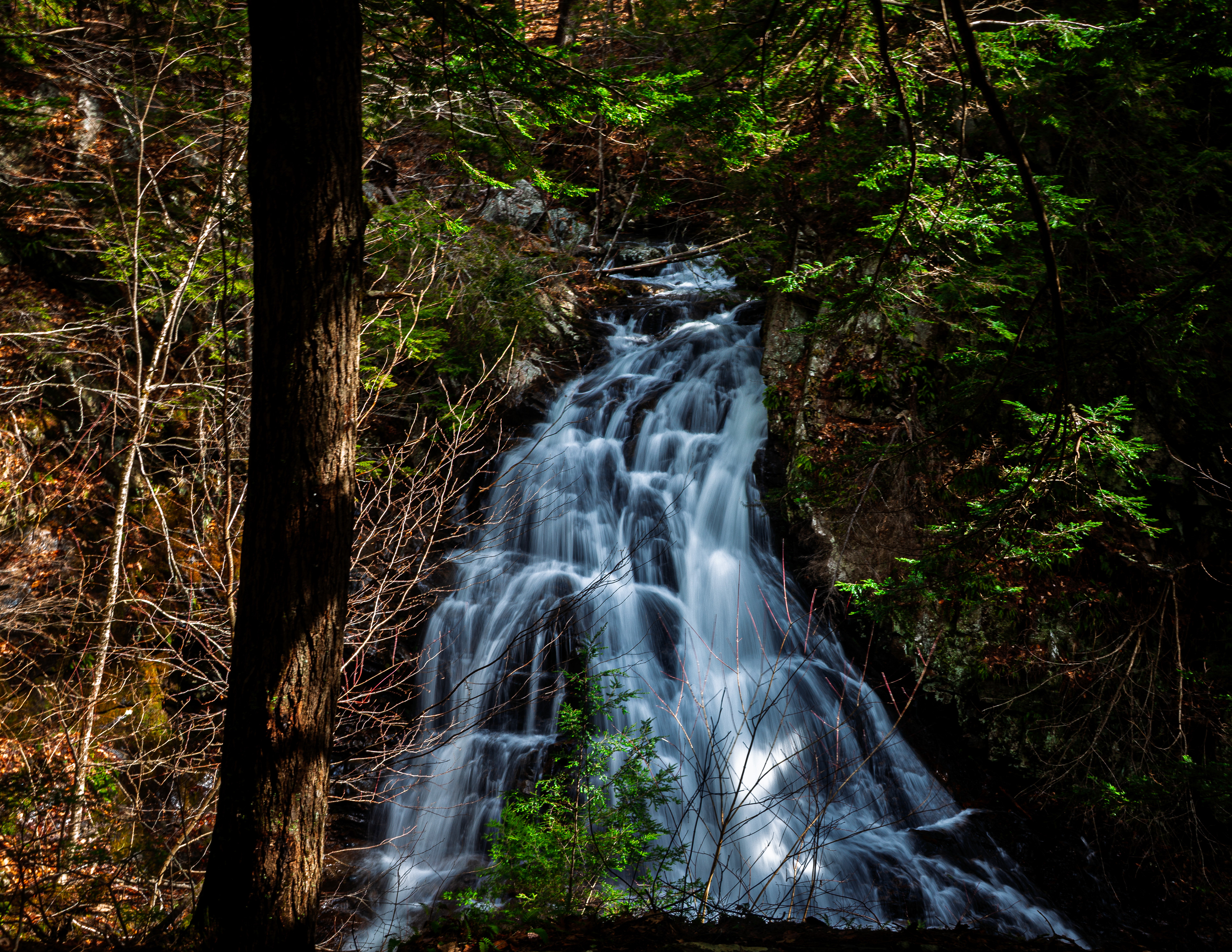 Bridal Veil Falls at CITC - April 6, 2026
