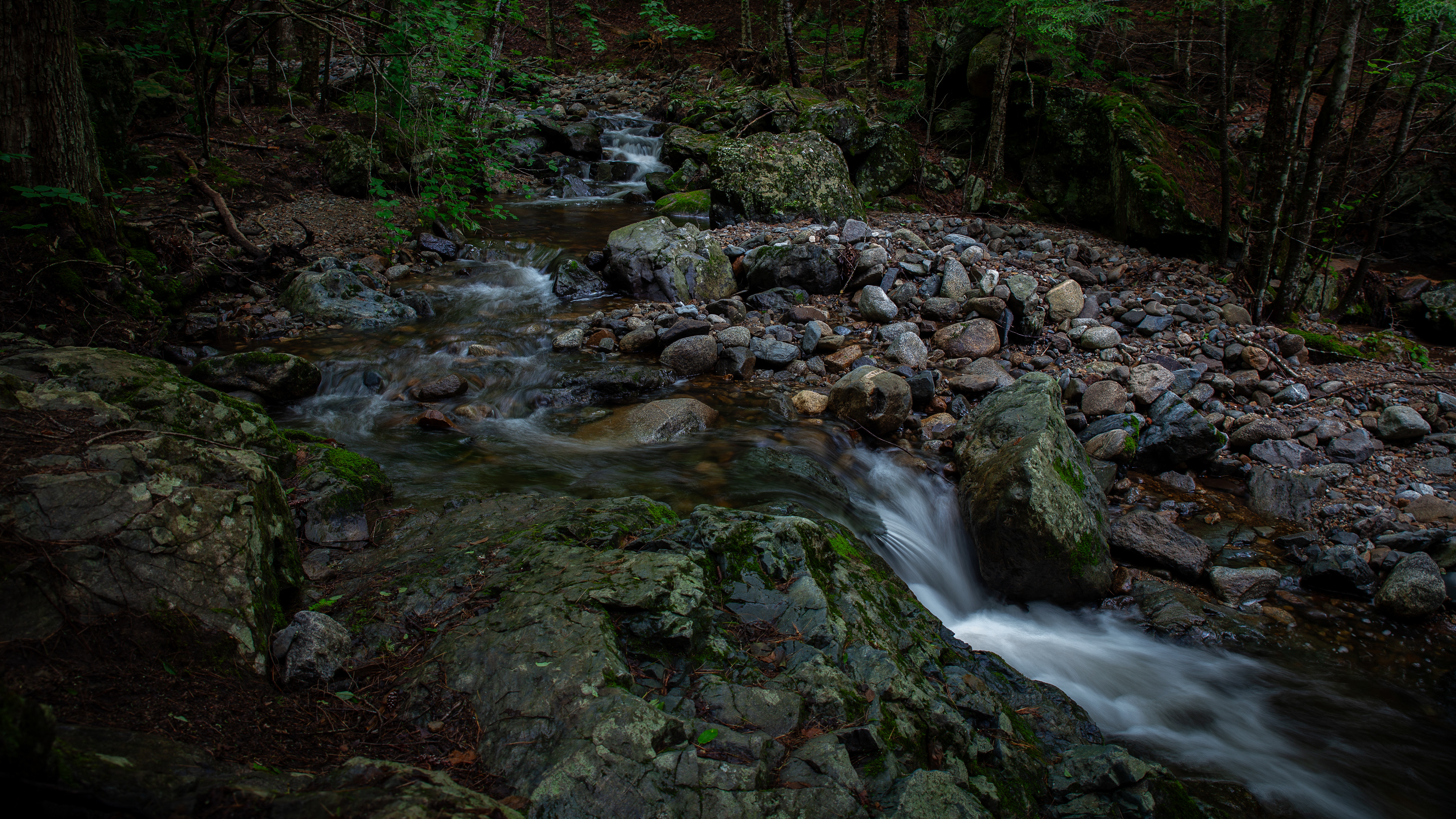 Unnamed Cascade 2024 No3