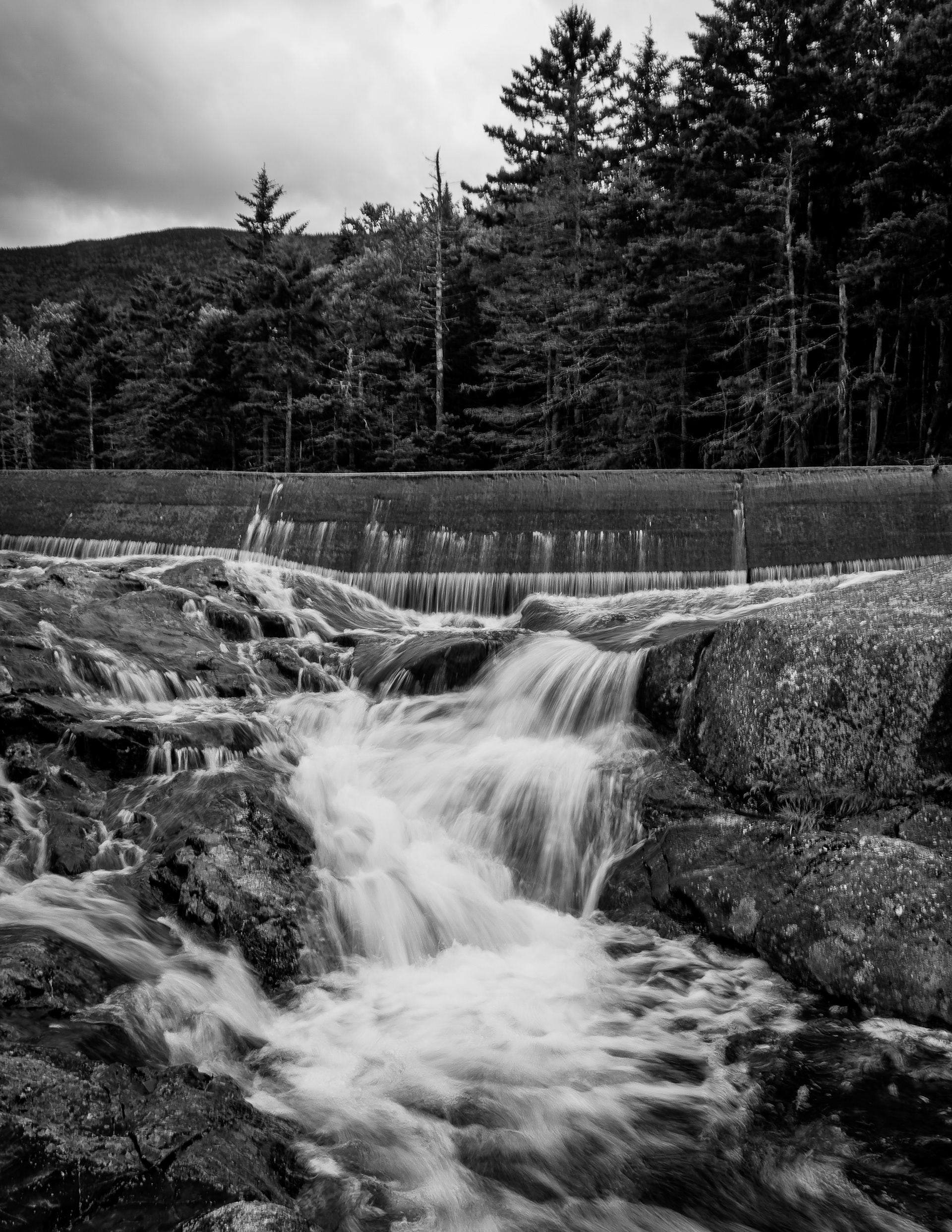 Beaver Pond Dam No5