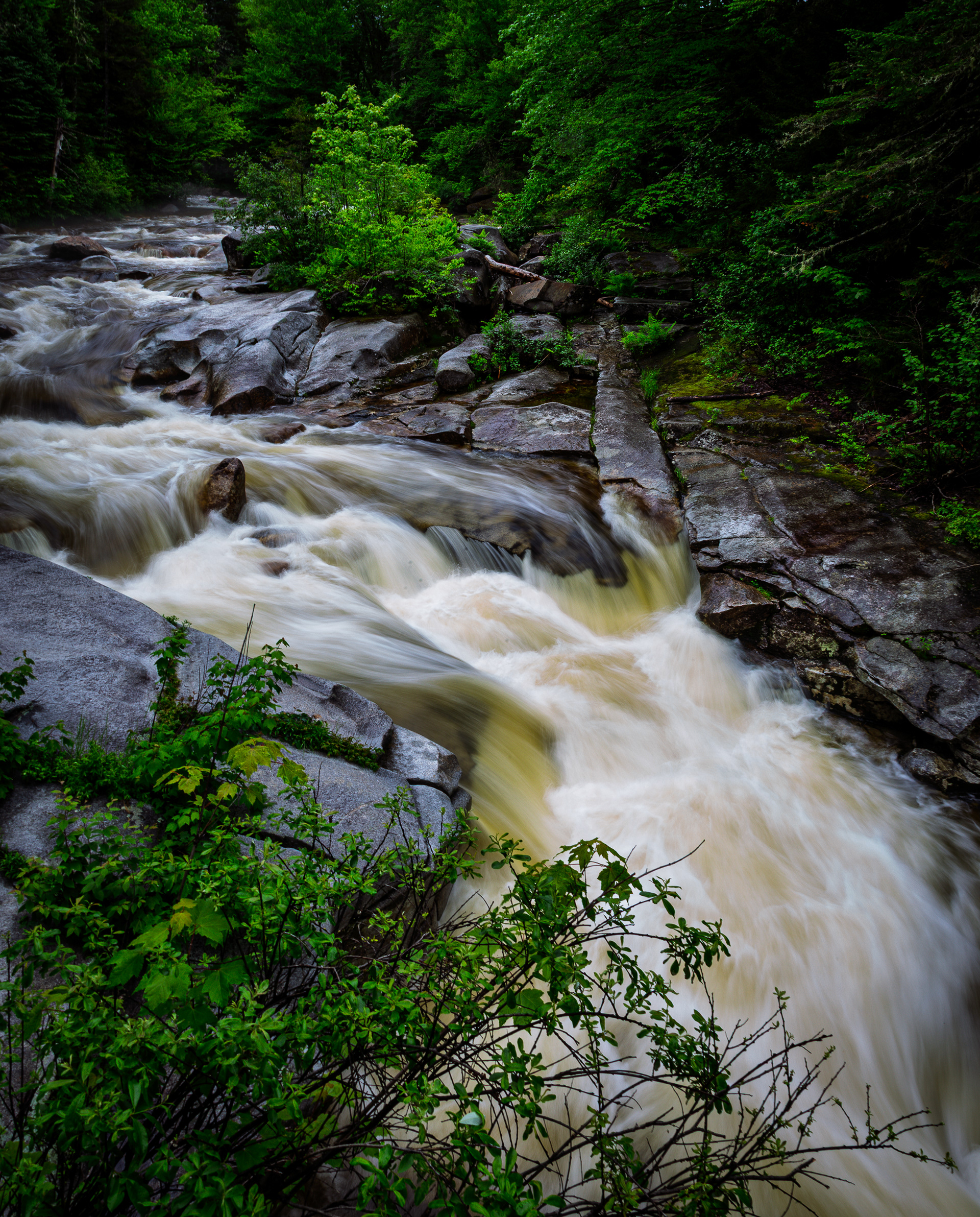 Upper Ammonoosuc Falls No12