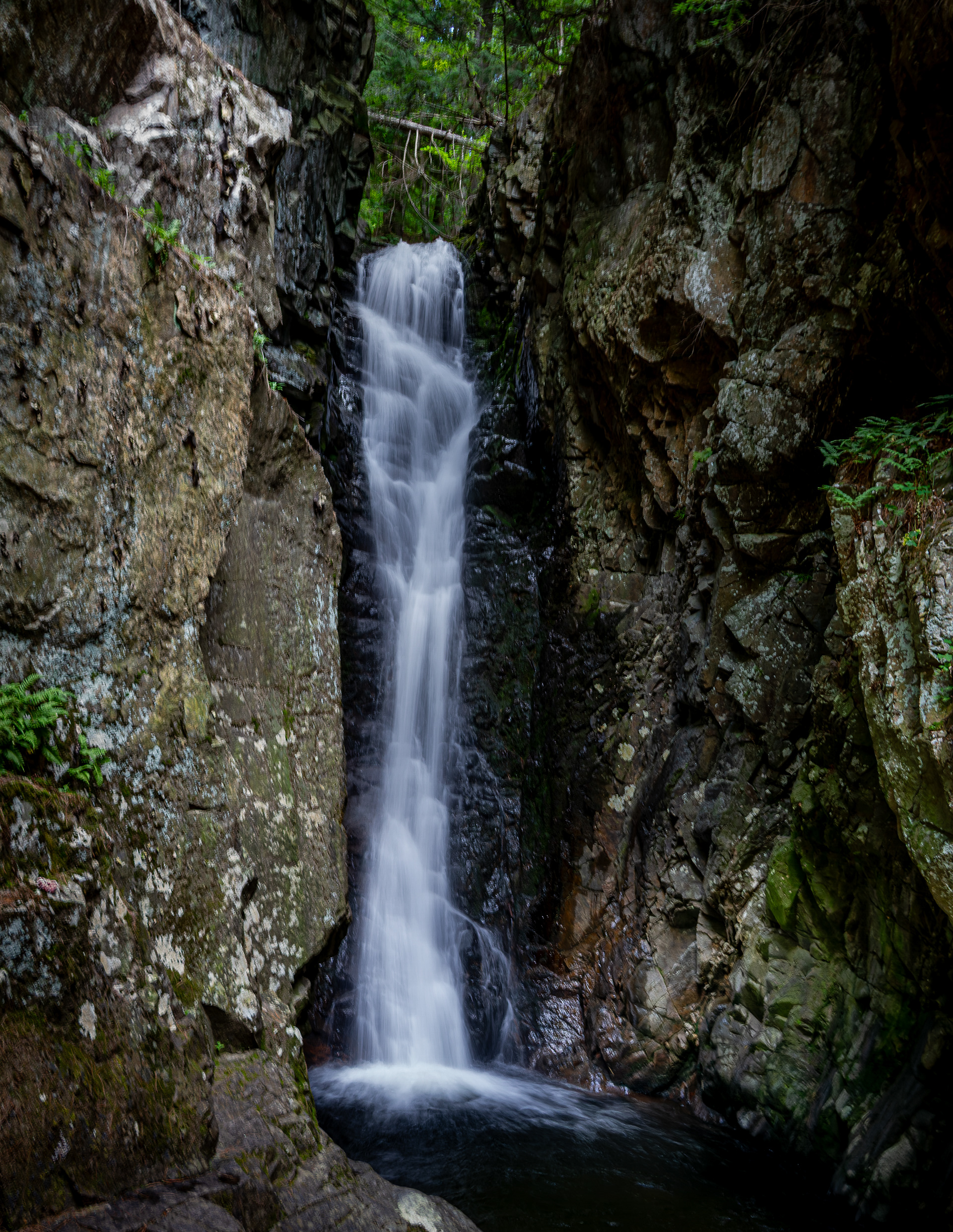 Falls of Song at CITC in Color