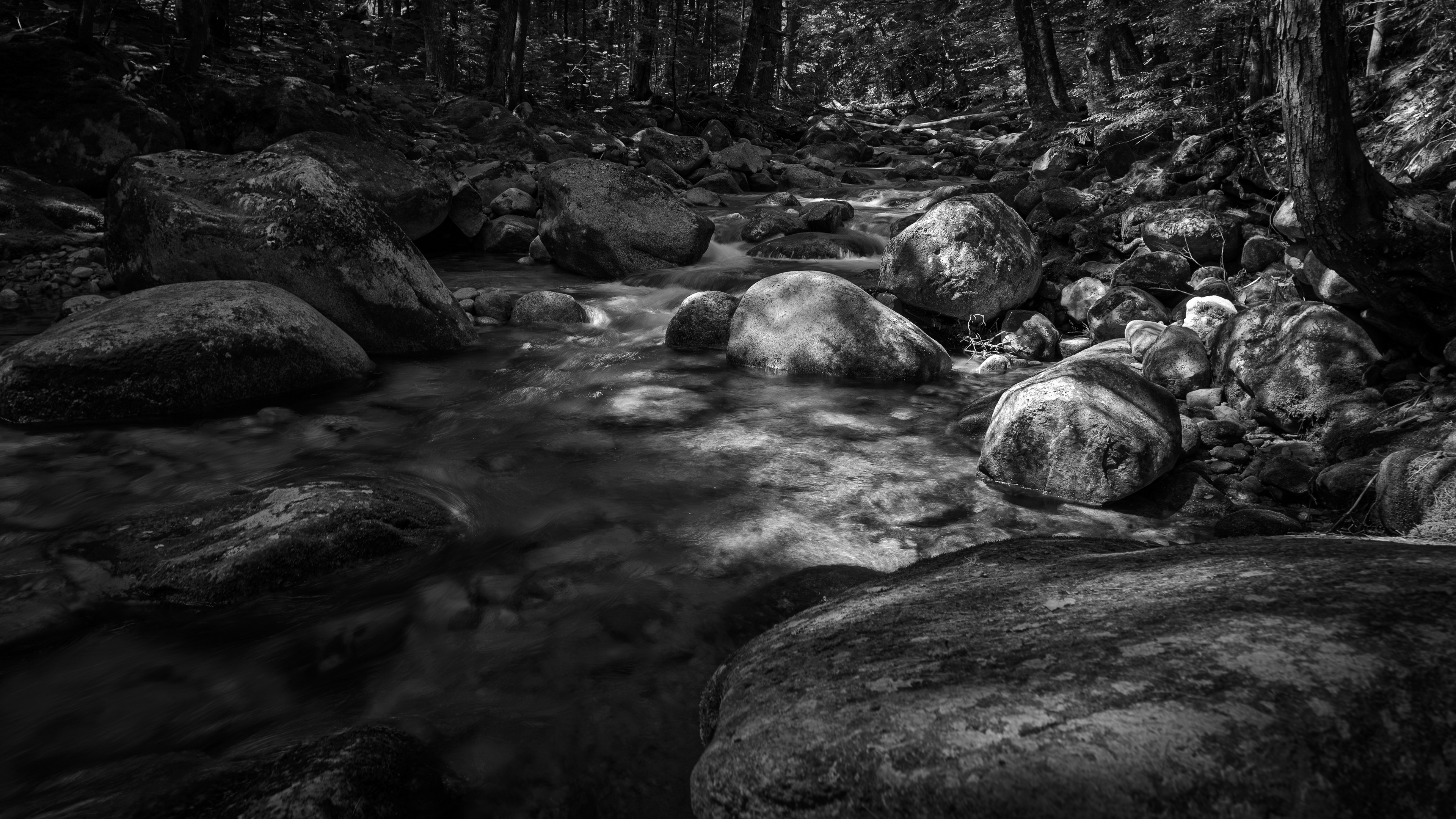 Sabbaday Brook - June 15, 2025