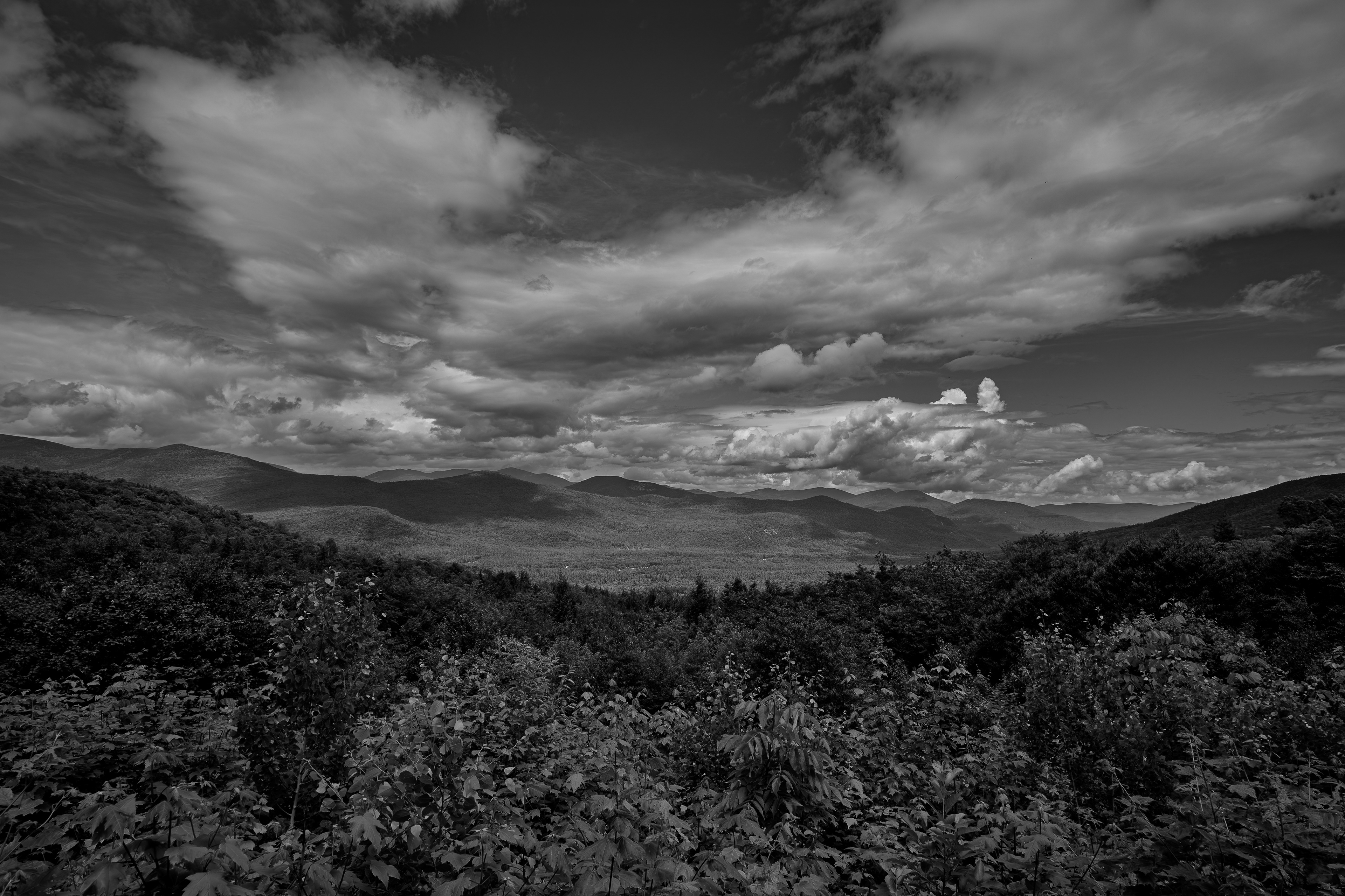 Bear Notch Scenic Vista No7